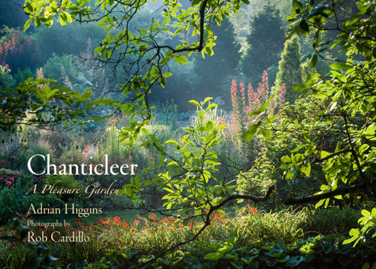 Cover image for Chanticleer ISBN 9780812242744