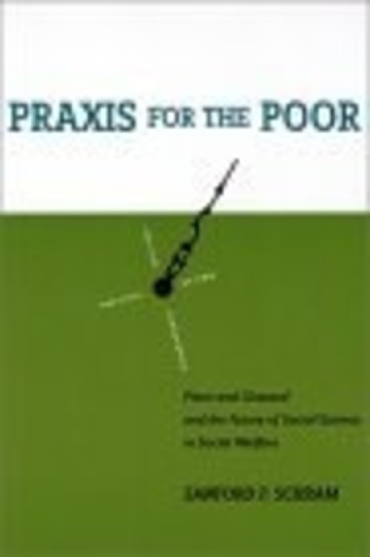 Cover image for Praxis for the Poor ISBN 9780814798171