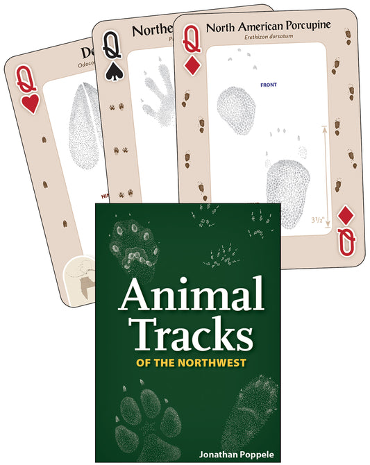 Animal Tracks of the Northwest Playing Cards