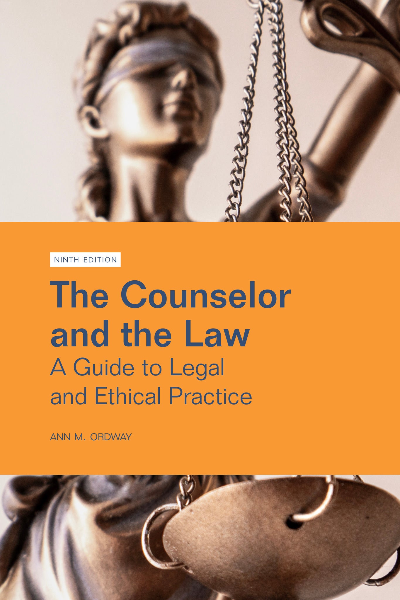 Cover image for The Counselor and the Law ISBN 9781556200229