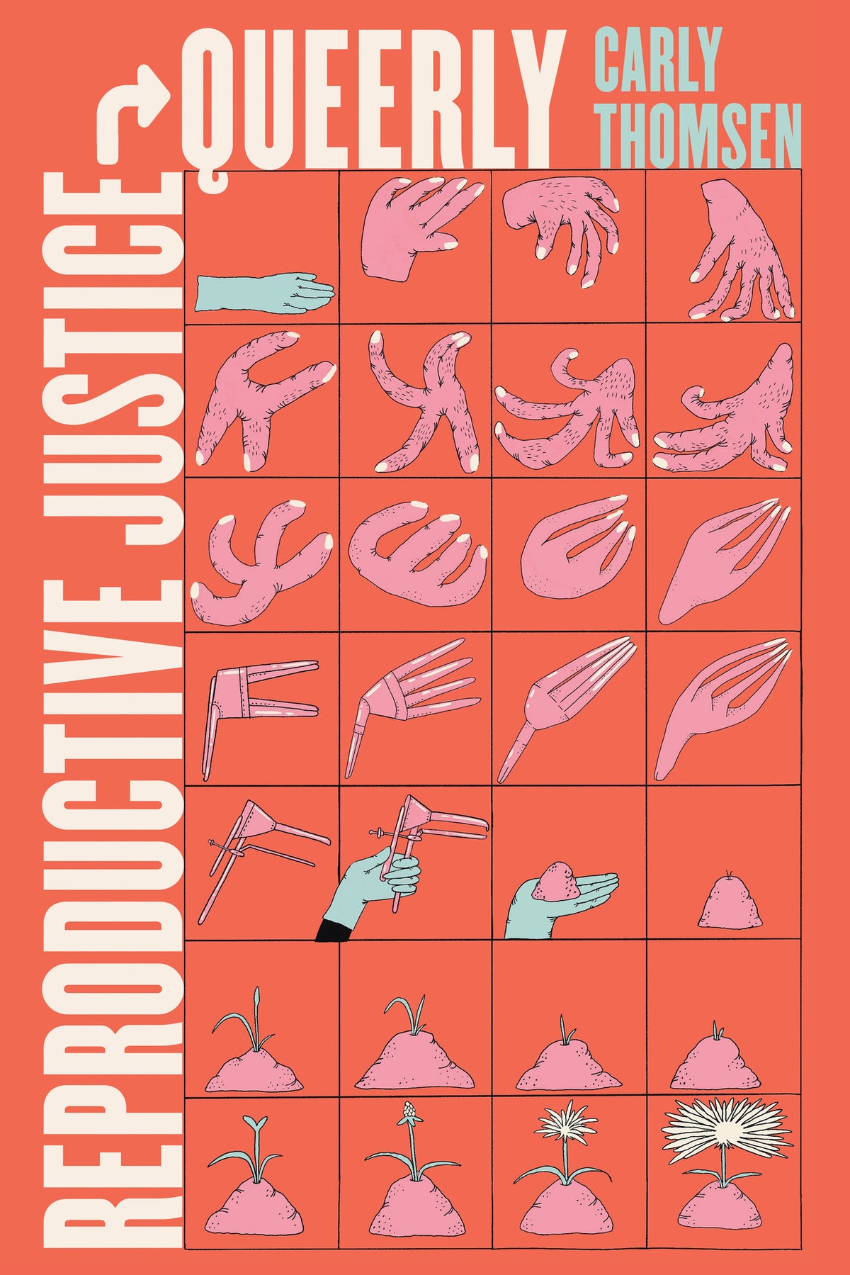 Cover image for Reproductive Justice, Queerly ISBN 9780520385368