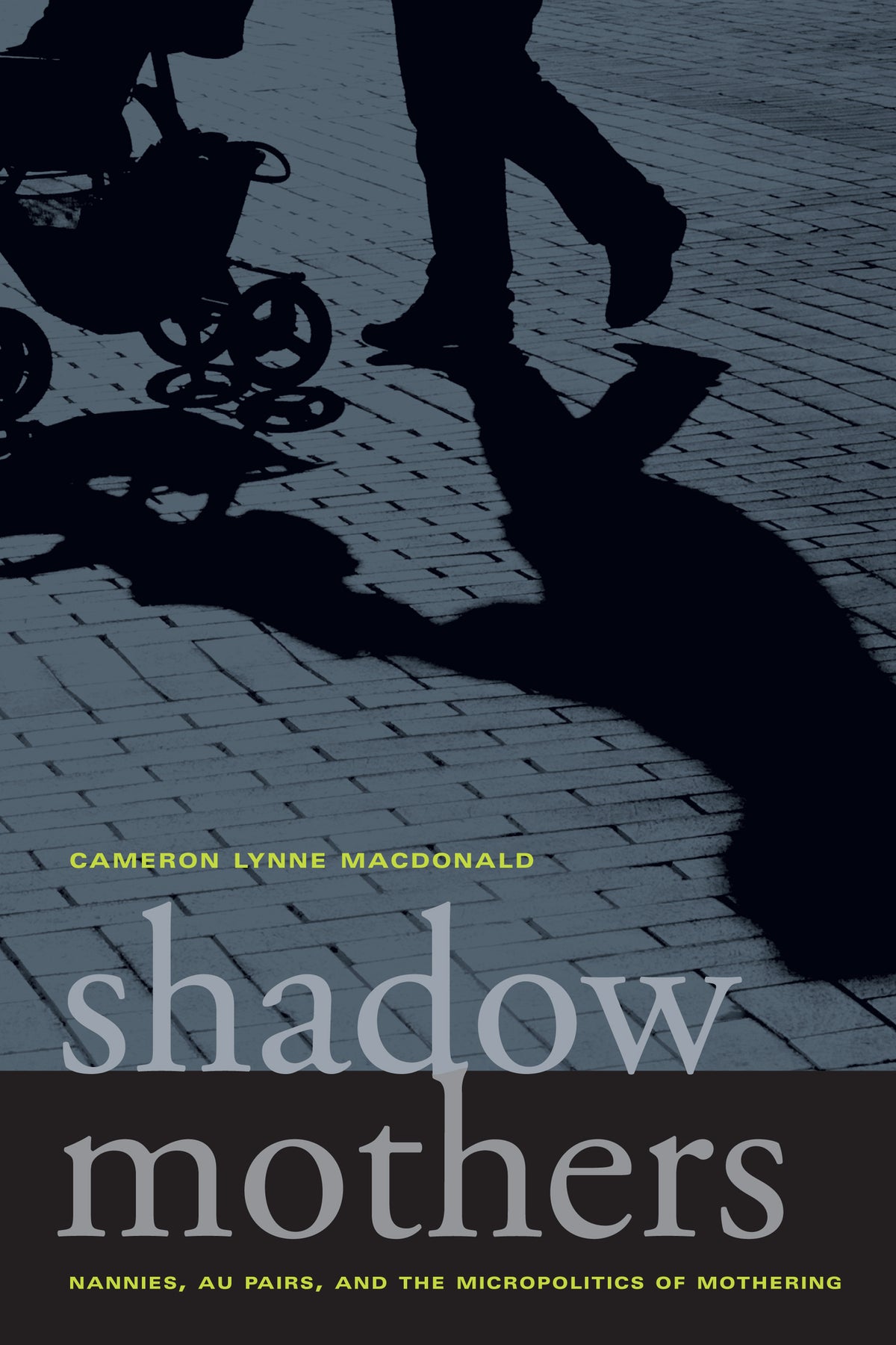 Cover image for Shadow Mothers ISBN 9780520266971