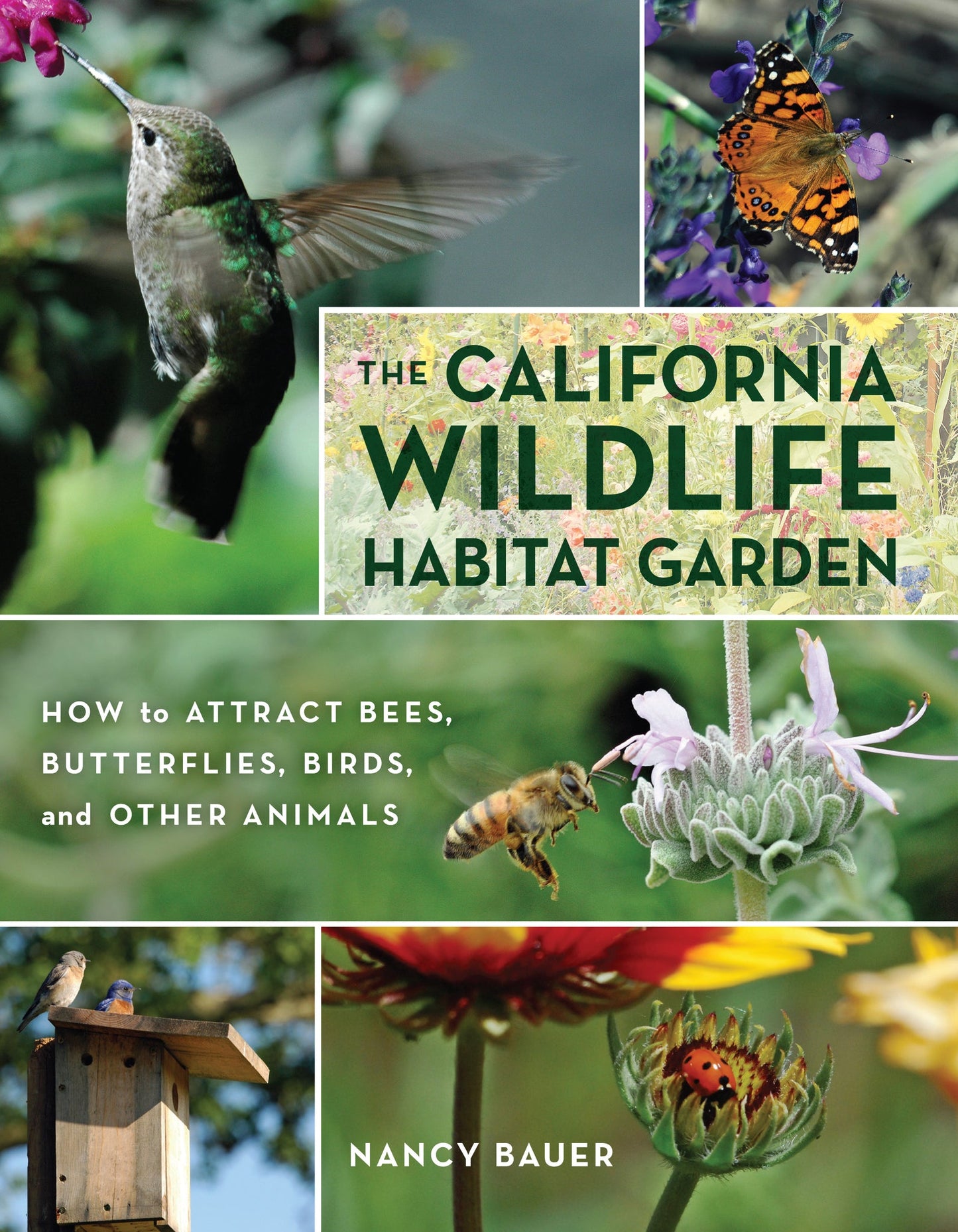 Cover image for The California Wildlife Habitat Garden ISBN 9780520953505