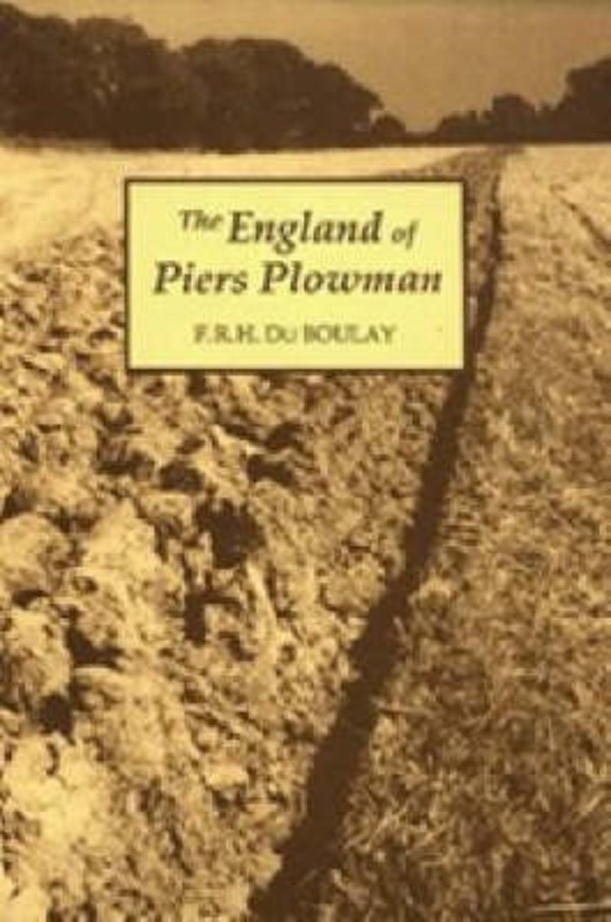 Cover image for The England of Piers Plowman ISBN 9780859913126