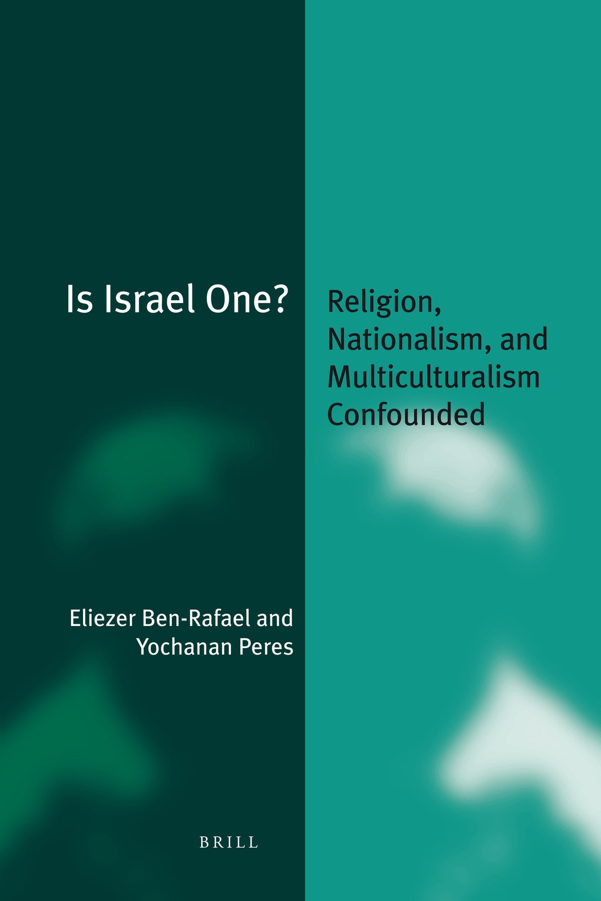 Cover image for Is Israel One? ISBN 9789004143944