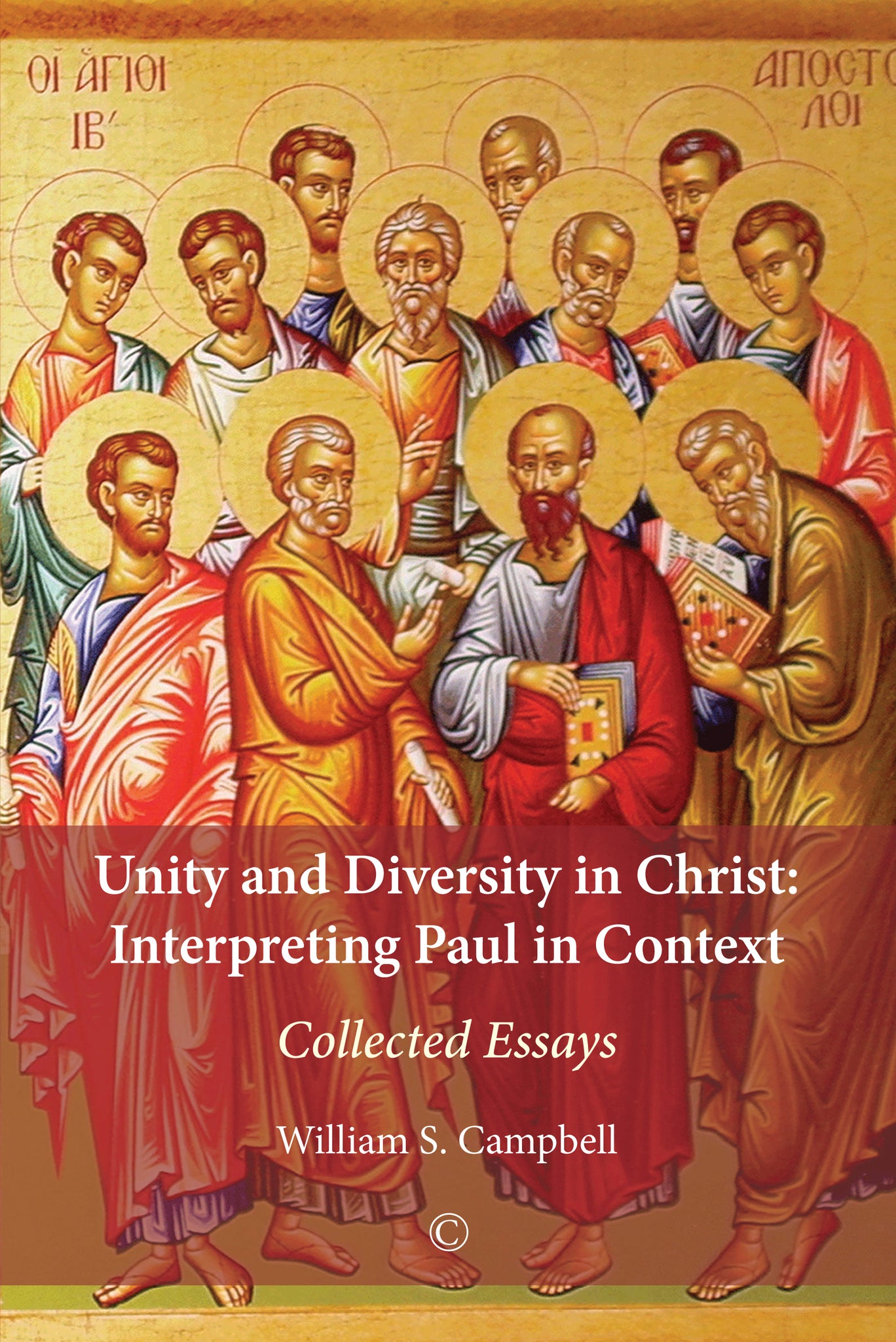Cover image for Unity and Diversity in Christ ISBN 9780227176443