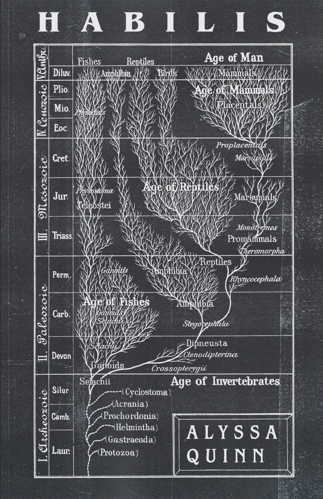 Cover image for Habilis ISBN 9781950539802