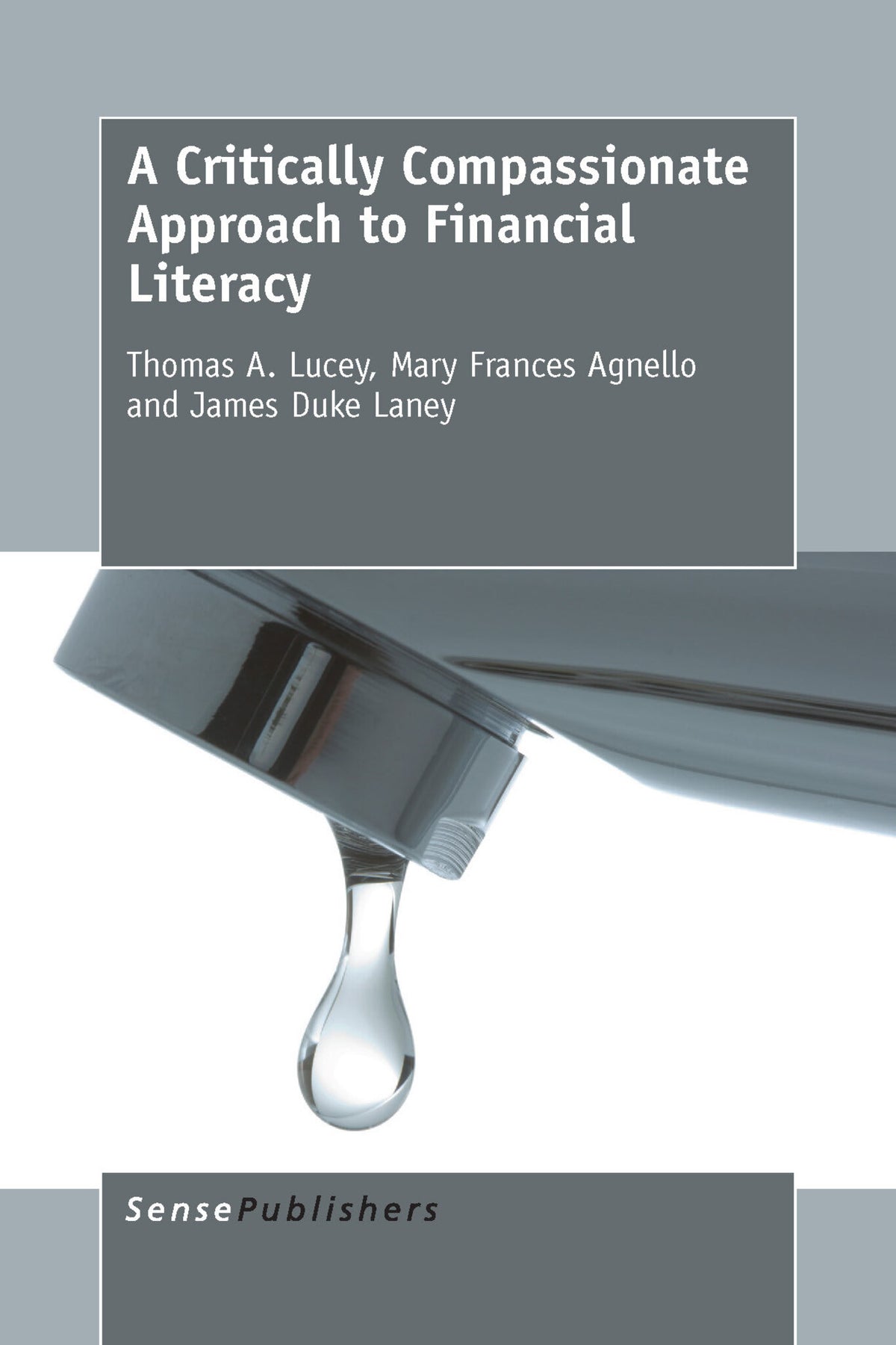 Cover image for A Critically Compassionate Approach to Financial Literacy ISBN 9789463001298