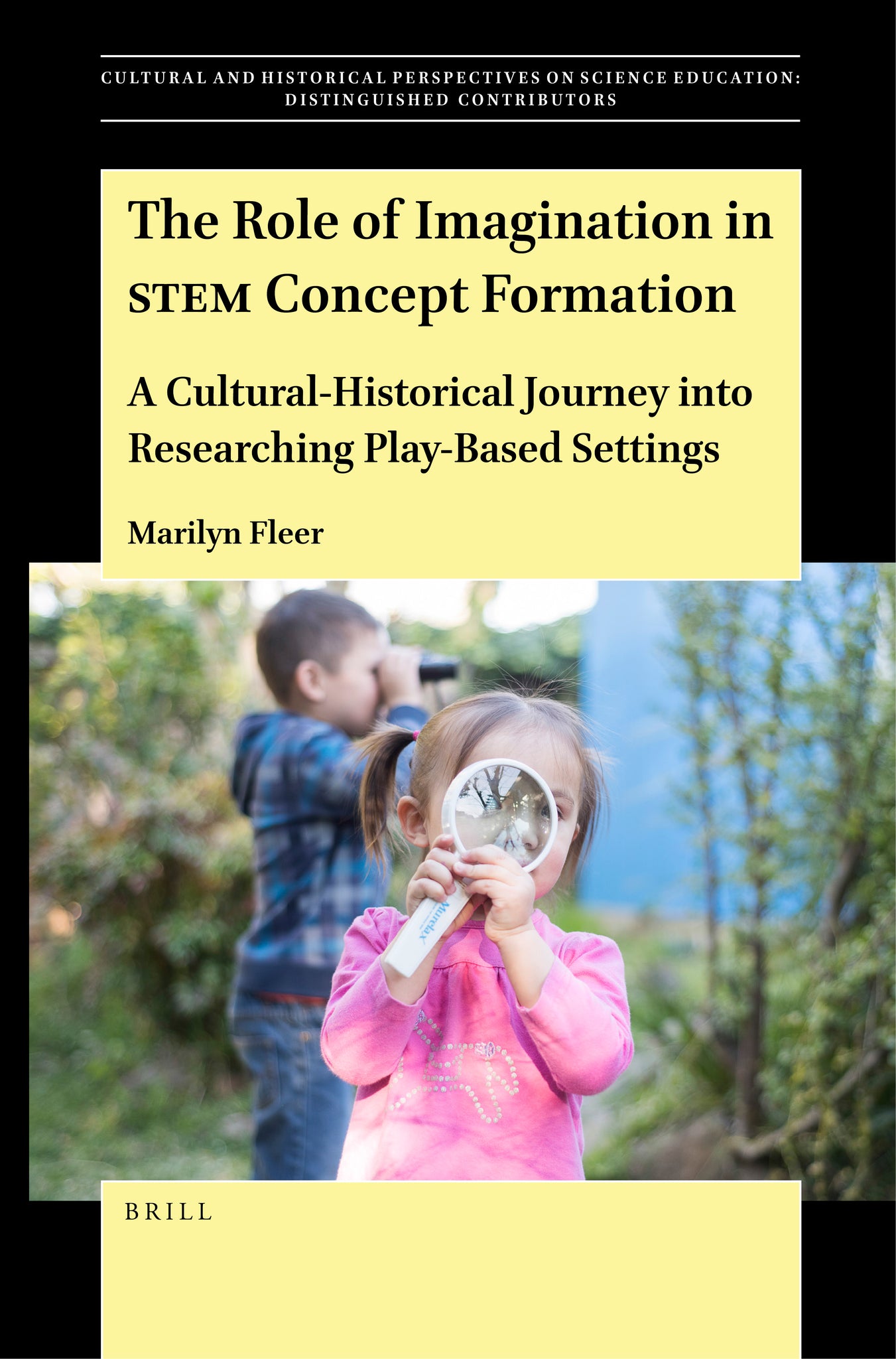 The Role of Imagination in STEM Concept Formation