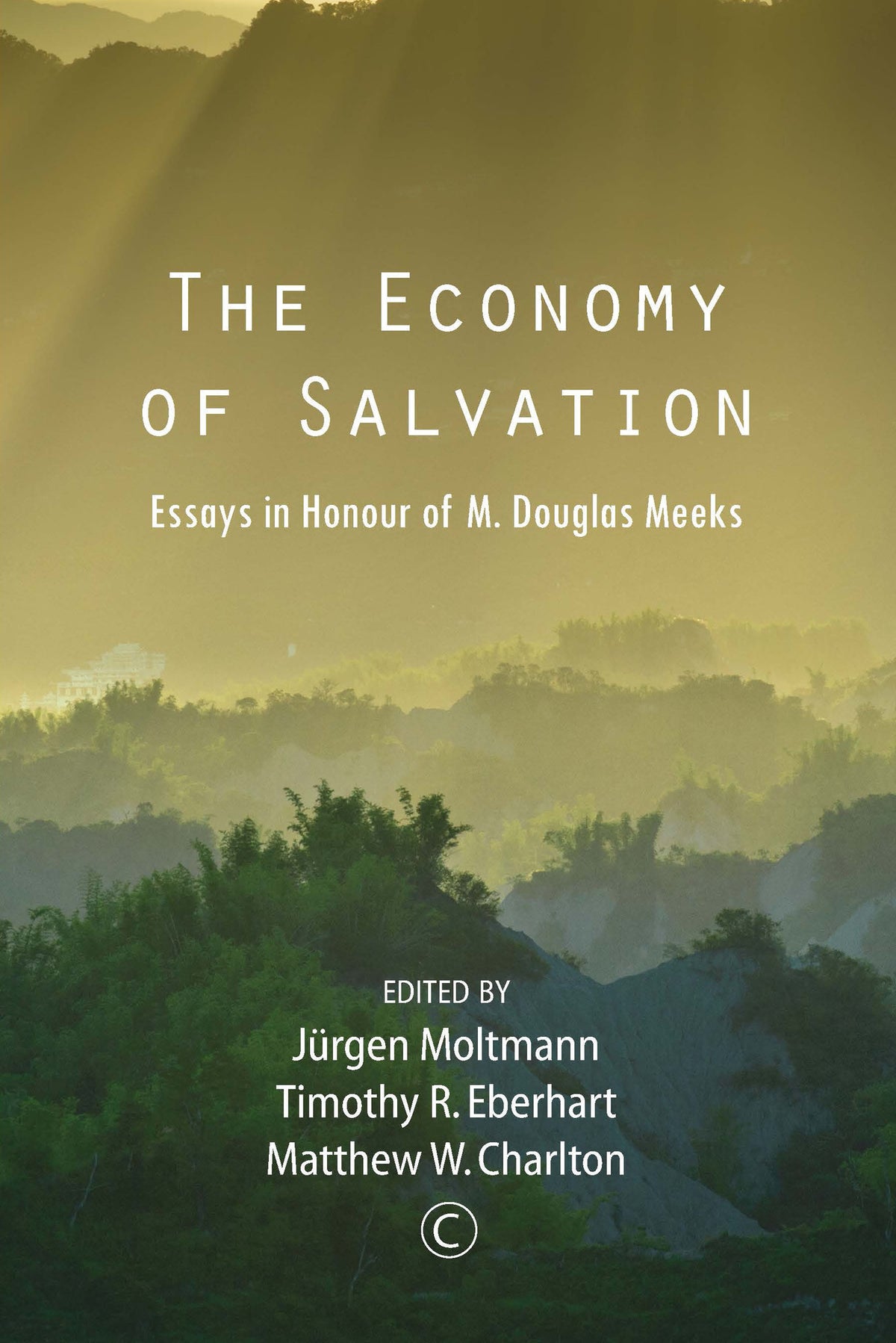 Cover image for The Economy of Salvation ISBN 9780227175859