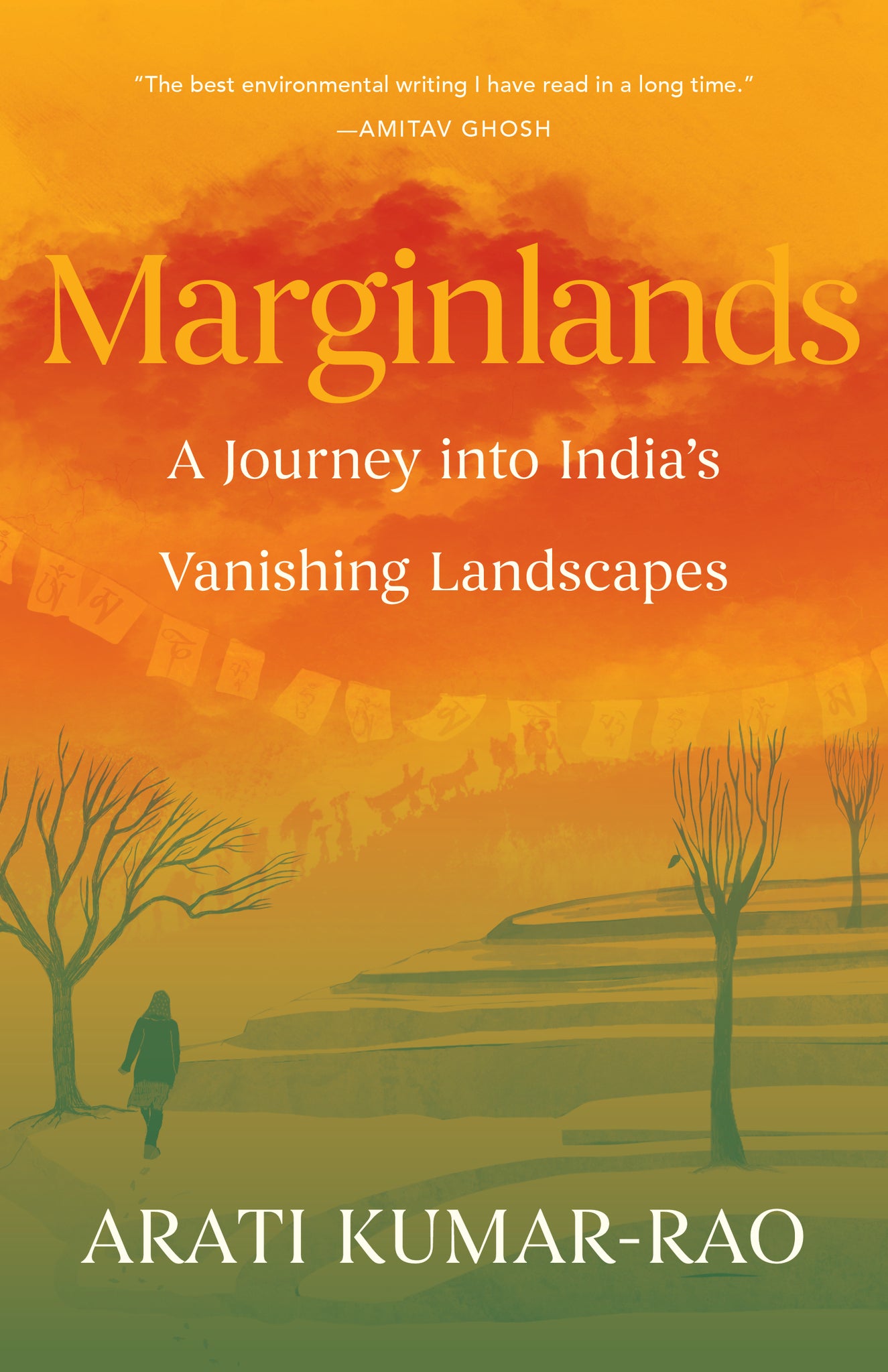 Cover image for Marginlands ISBN 9781571315984