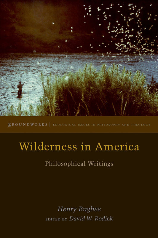 Wilderness in America