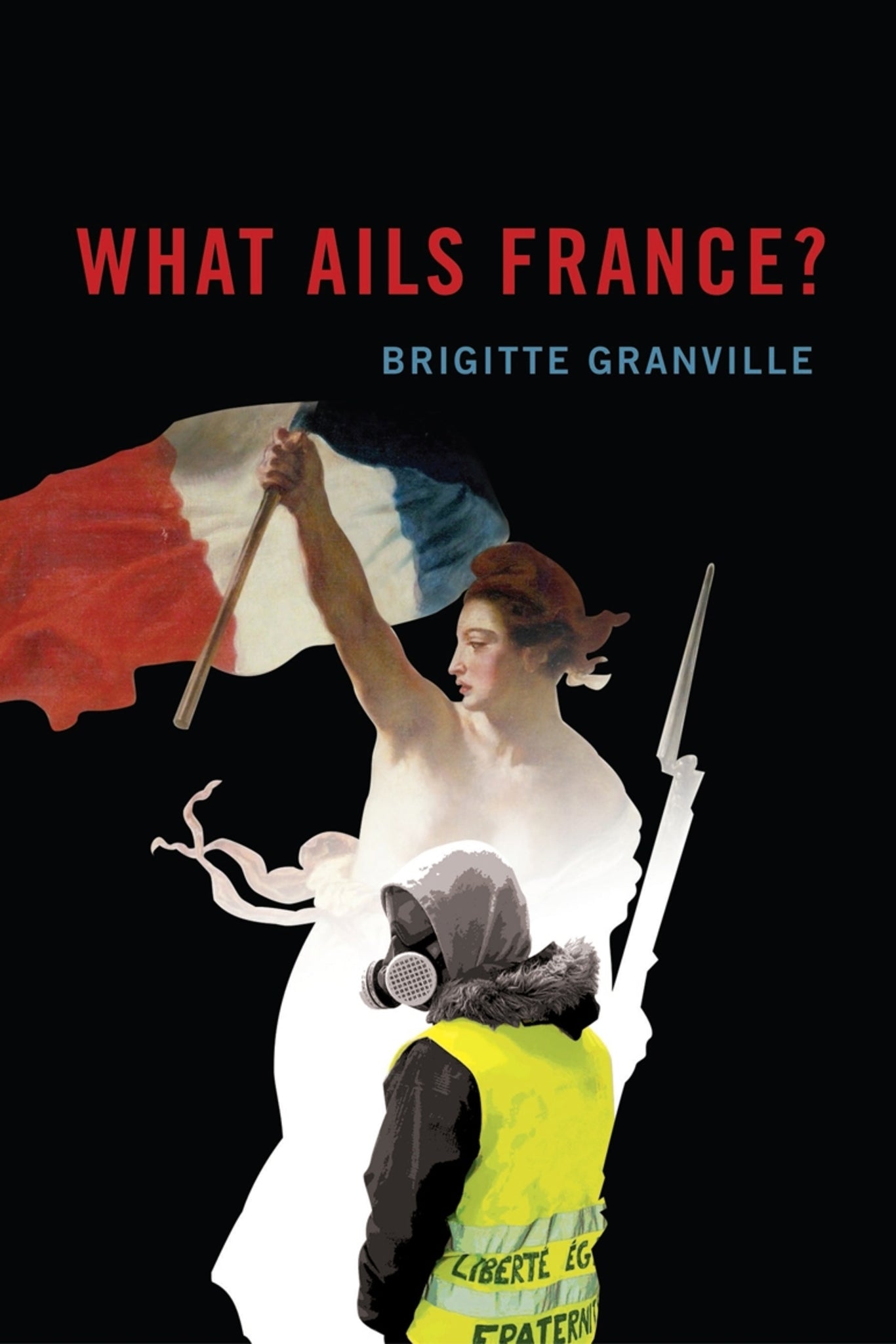 Cover image for What Ails France? ISBN 9780228006800