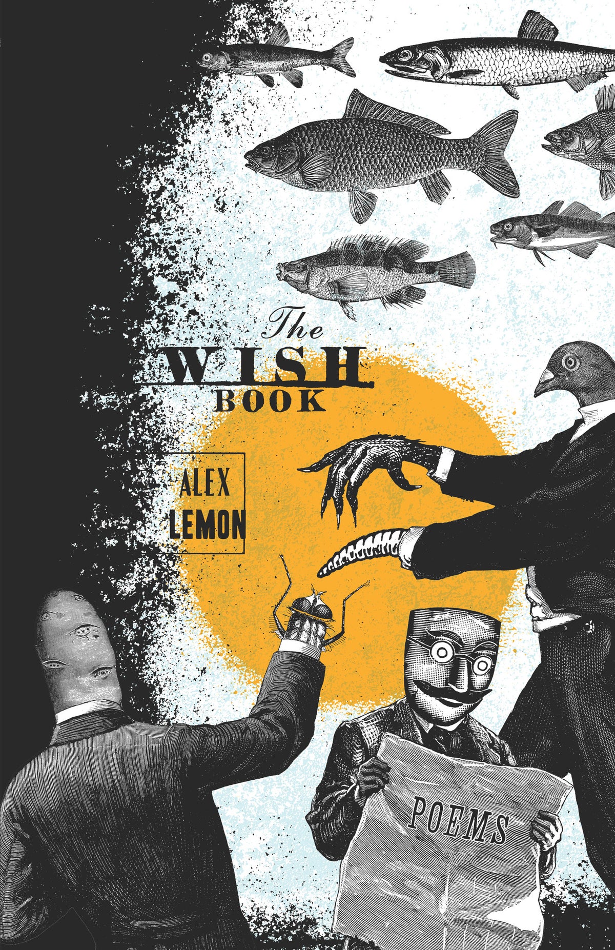 Cover image for The Wish Book ISBN 9781571314505