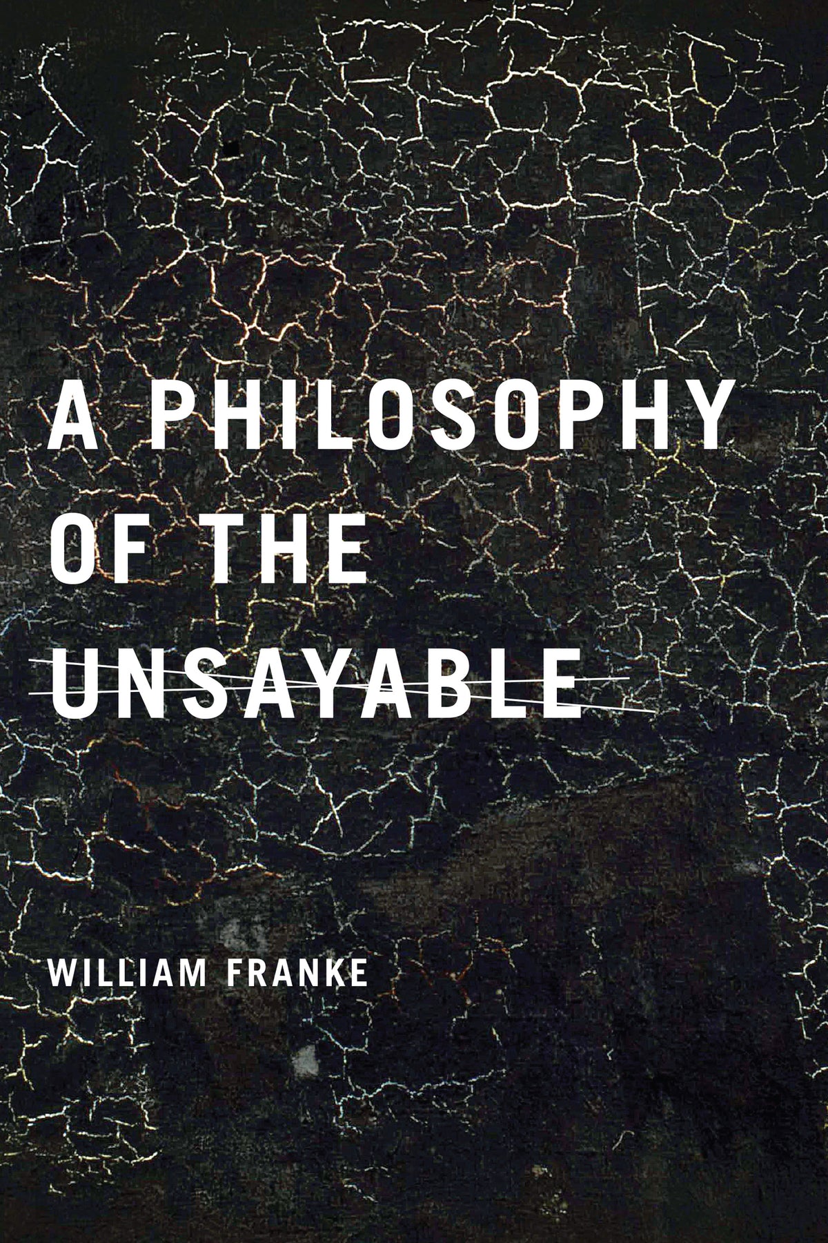 Cover image for A Philosophy of the Unsayable ISBN 9780268203580
