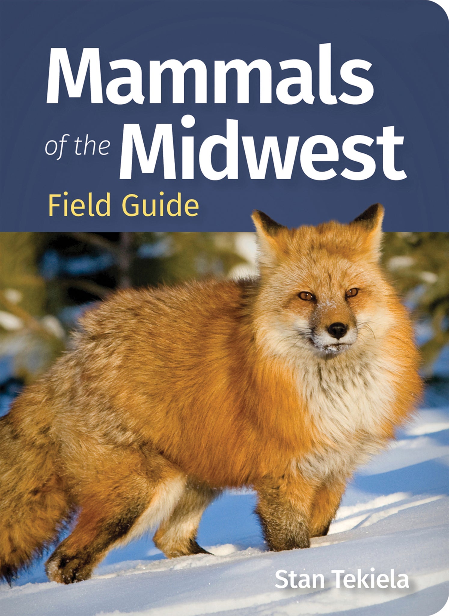 Cover image for Mammals of the Midwest Field Guide ISBN 9781647555924