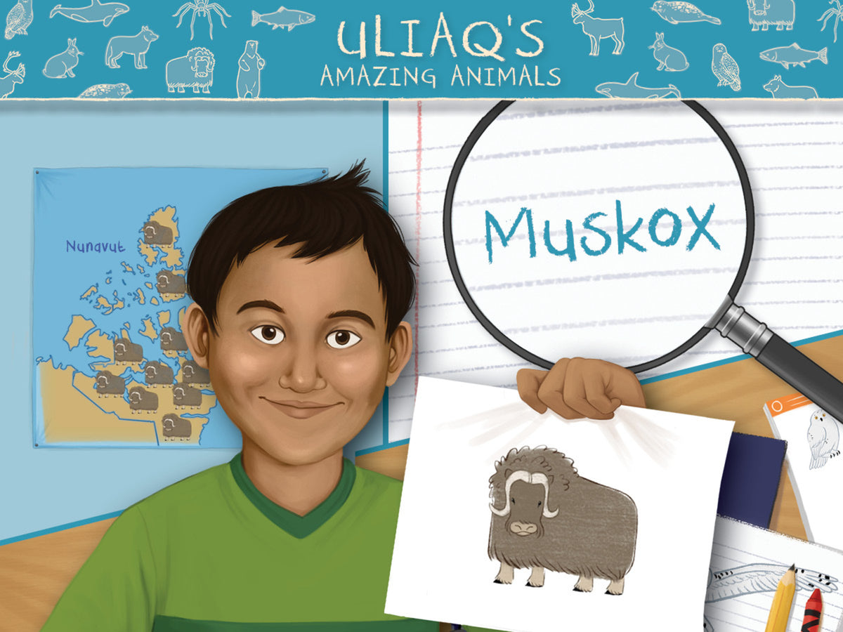 Cover image for Uliaq's Amazing Animals: Muskox ISBN 9781774504628