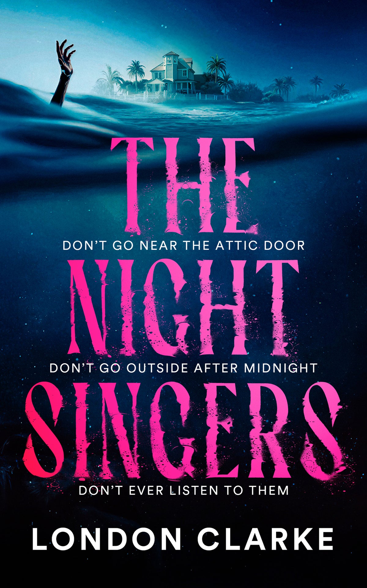 Cover image for The Night Singers ISBN 9781036711078
