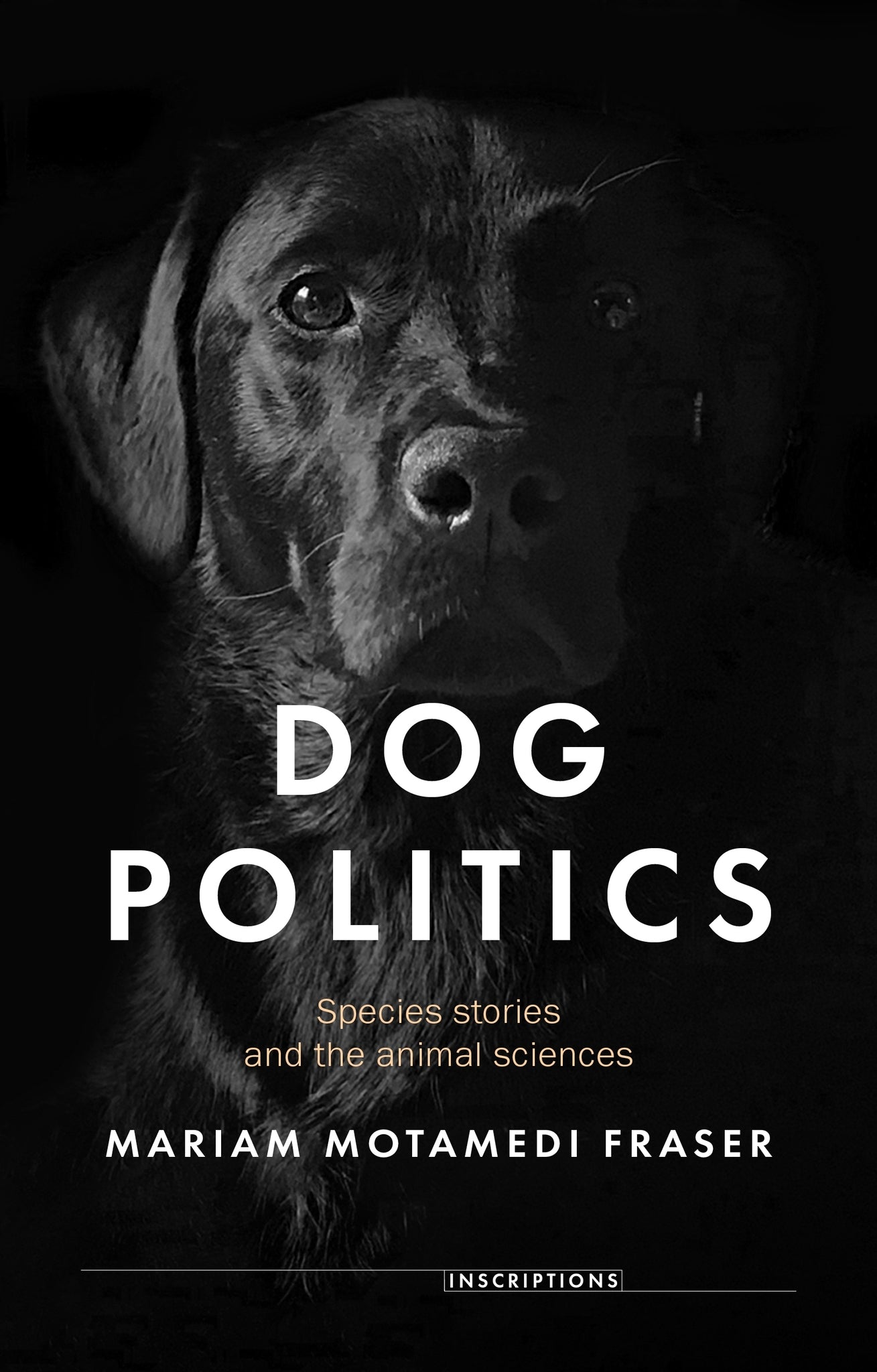 Cover image for Dog politics ISBN 9781526174802