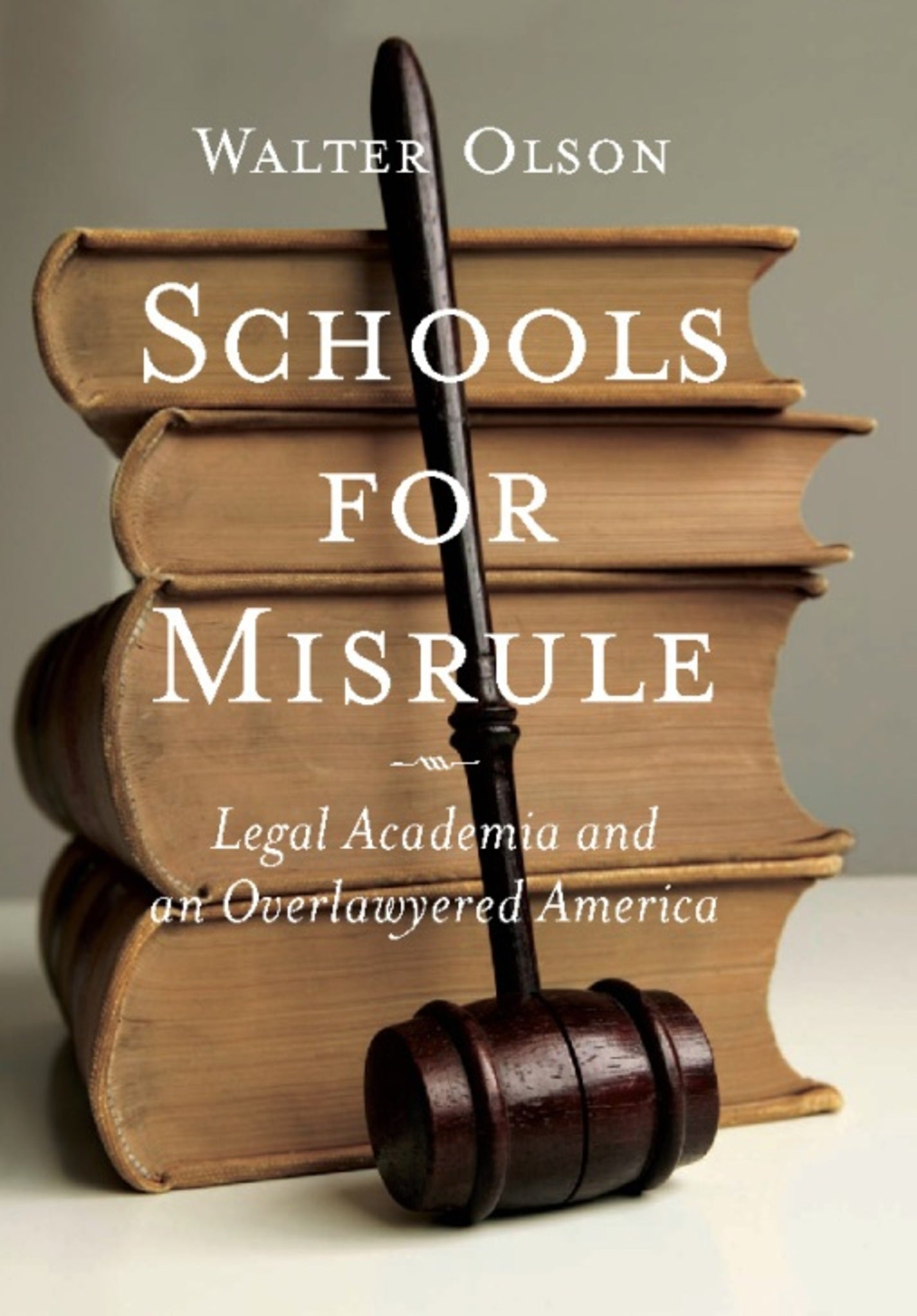 Cover image for Schools for Misrule ISBN 9781594032332