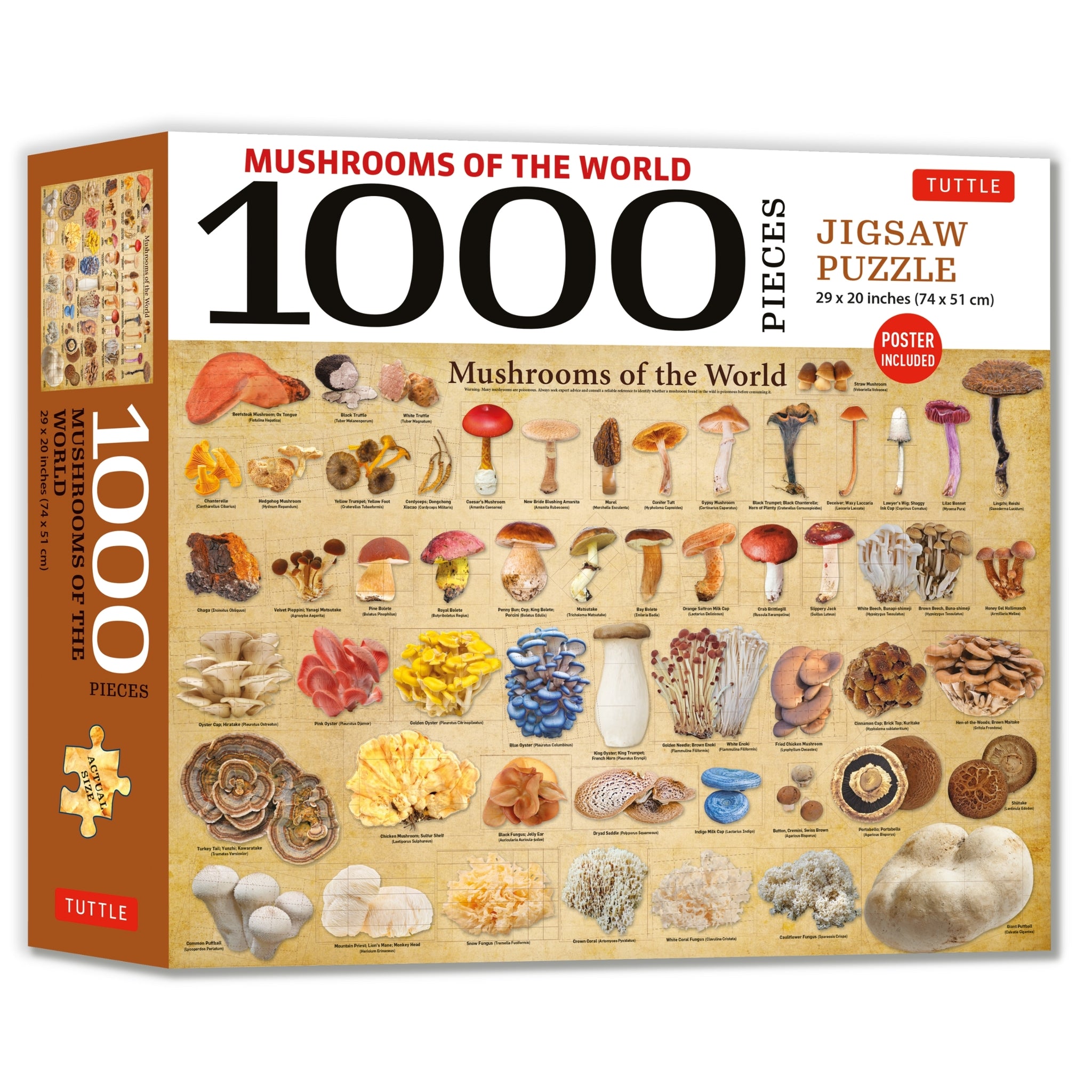 Cover image for Mushrooms of the World - 1000 Piece Jigsaw Puzzle ISBN 9780804856768