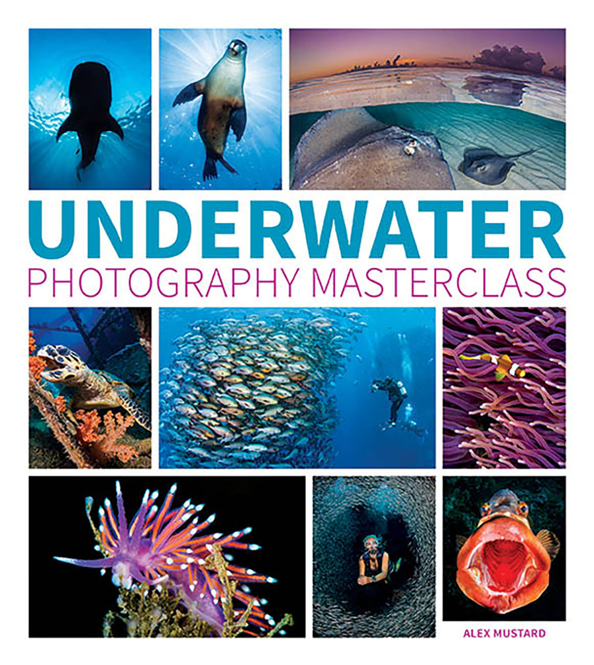 Cover image for Underwater Photography Masterclass ISBN 9781781452226