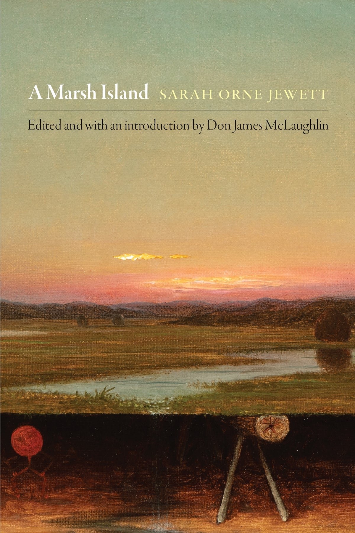 Cover image for A Marsh Island ISBN 9781512824261