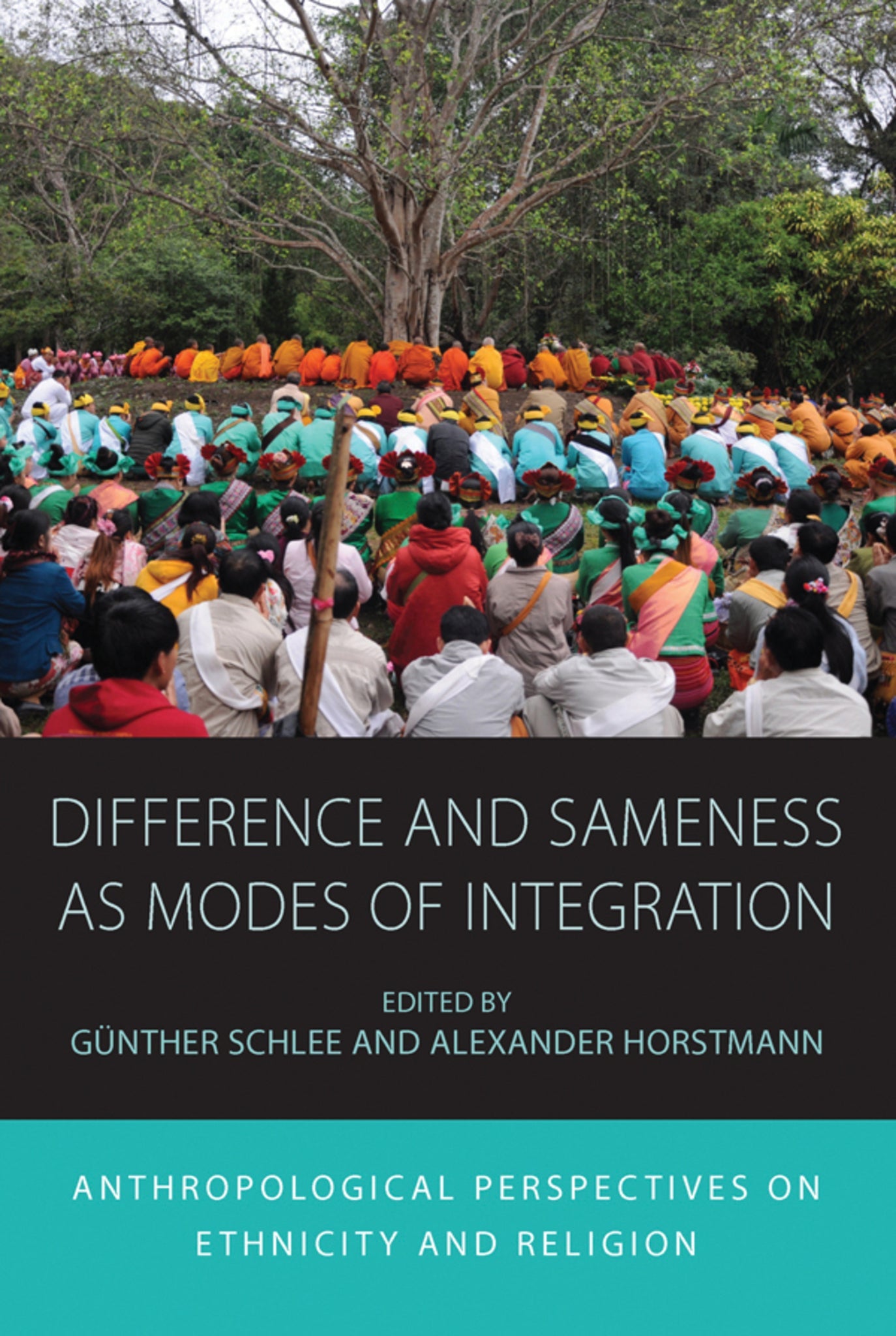 Cover image for Difference and Sameness as Modes of Integration ISBN 9781785337154