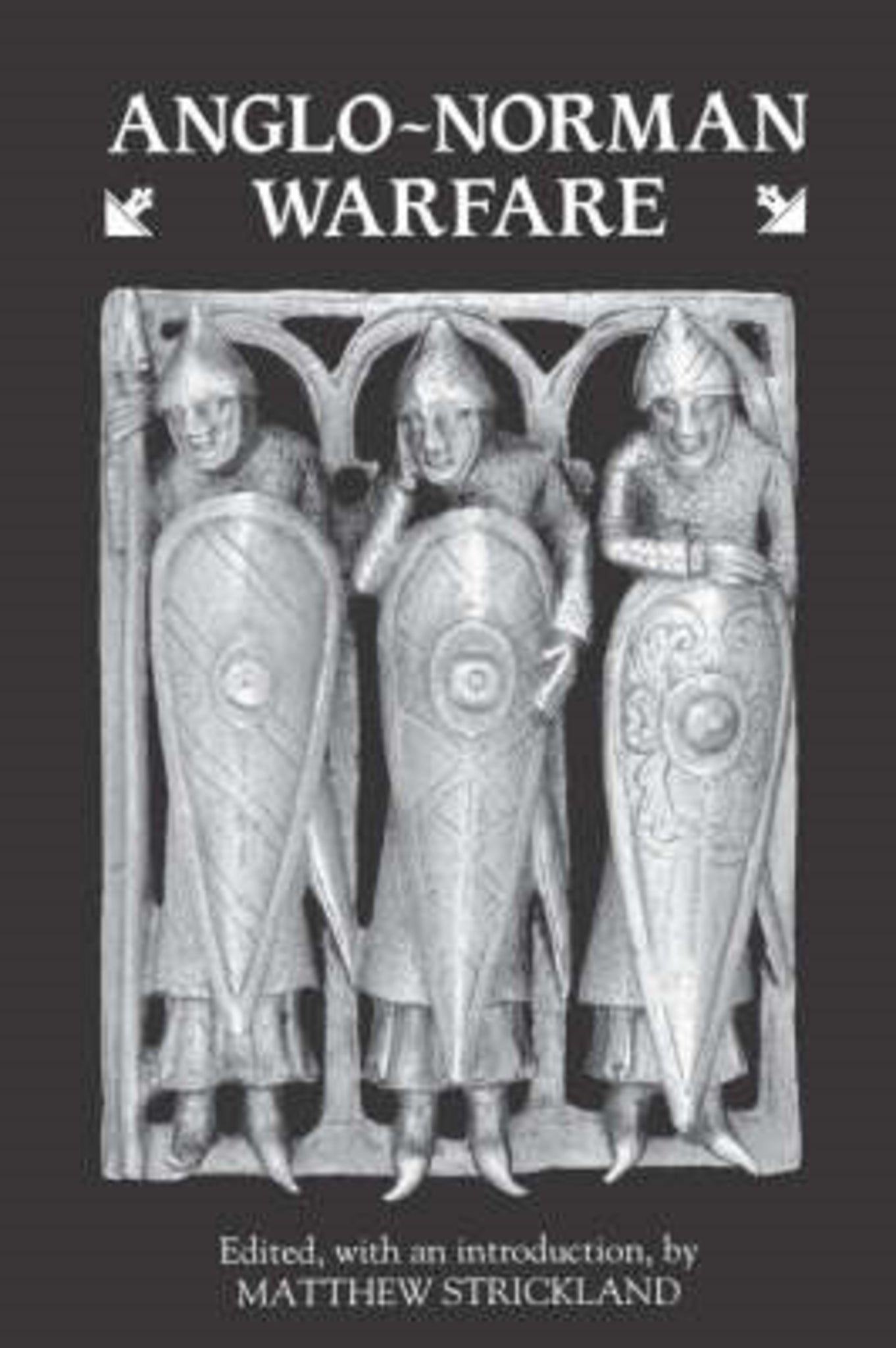 Cover image for Anglo-Norman Warfare ISBN 9780851153285