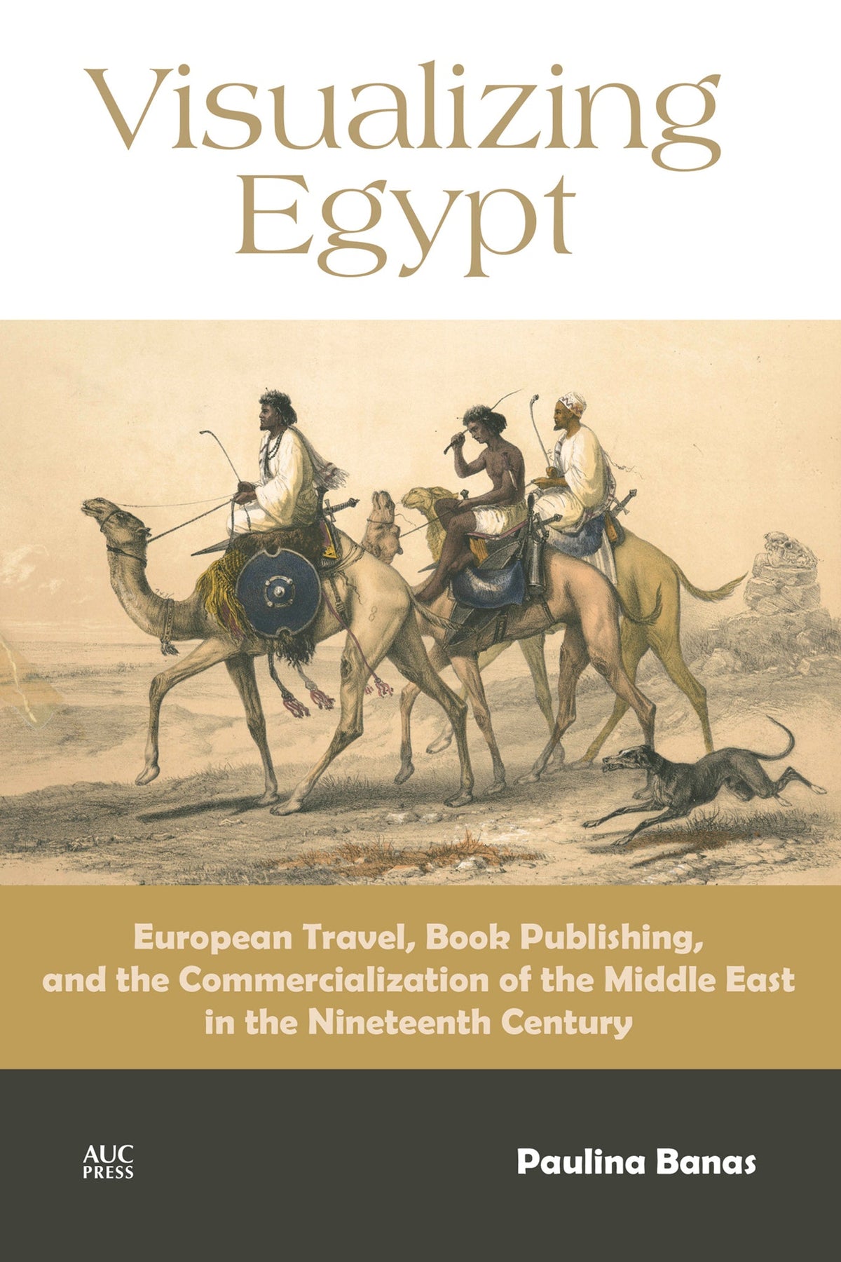 Cover image for Visualizing Egypt: ISBN 9781649033833