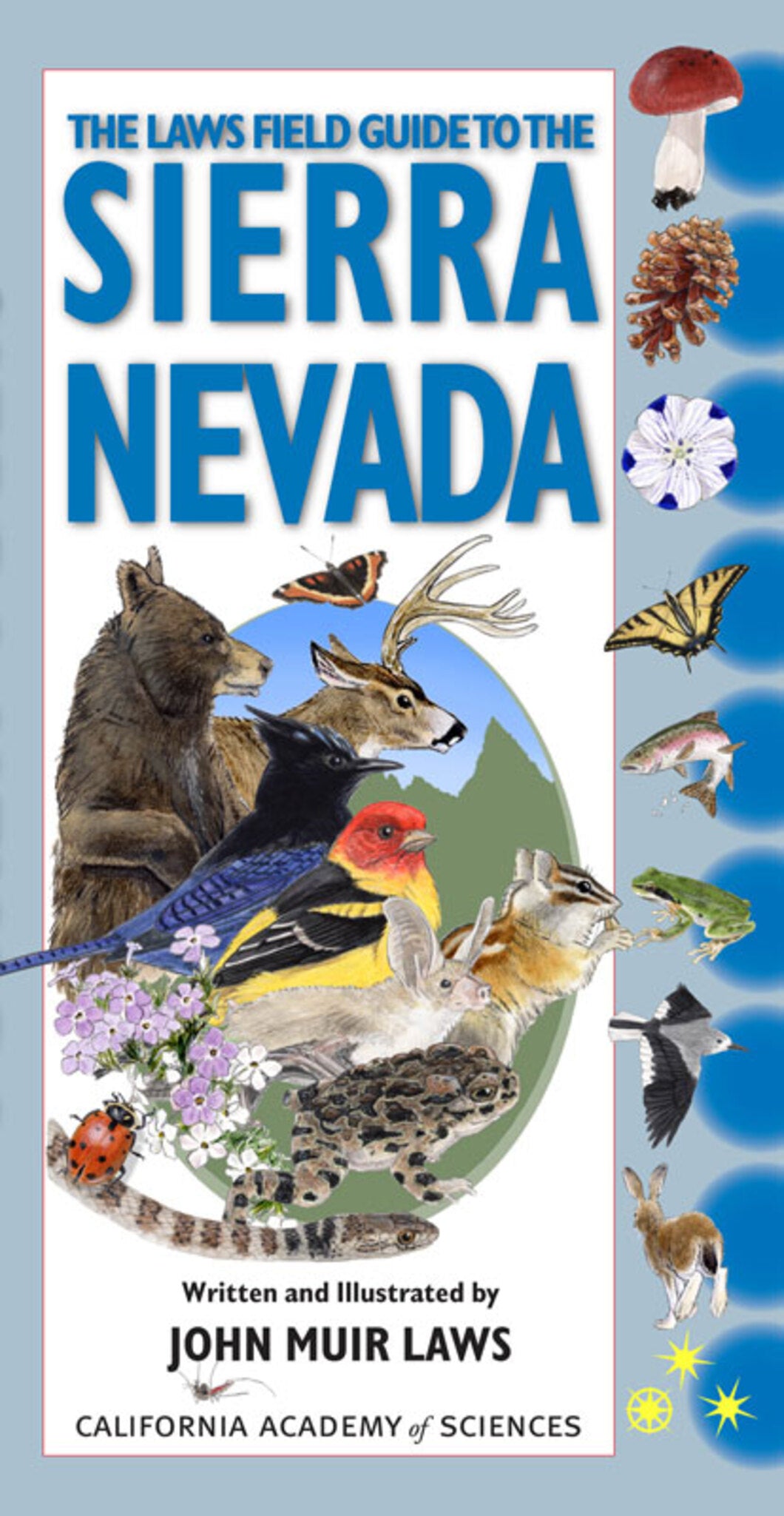 Cover image for The Laws Field Guide to the Sierra Nevada ISBN 9781597140522
