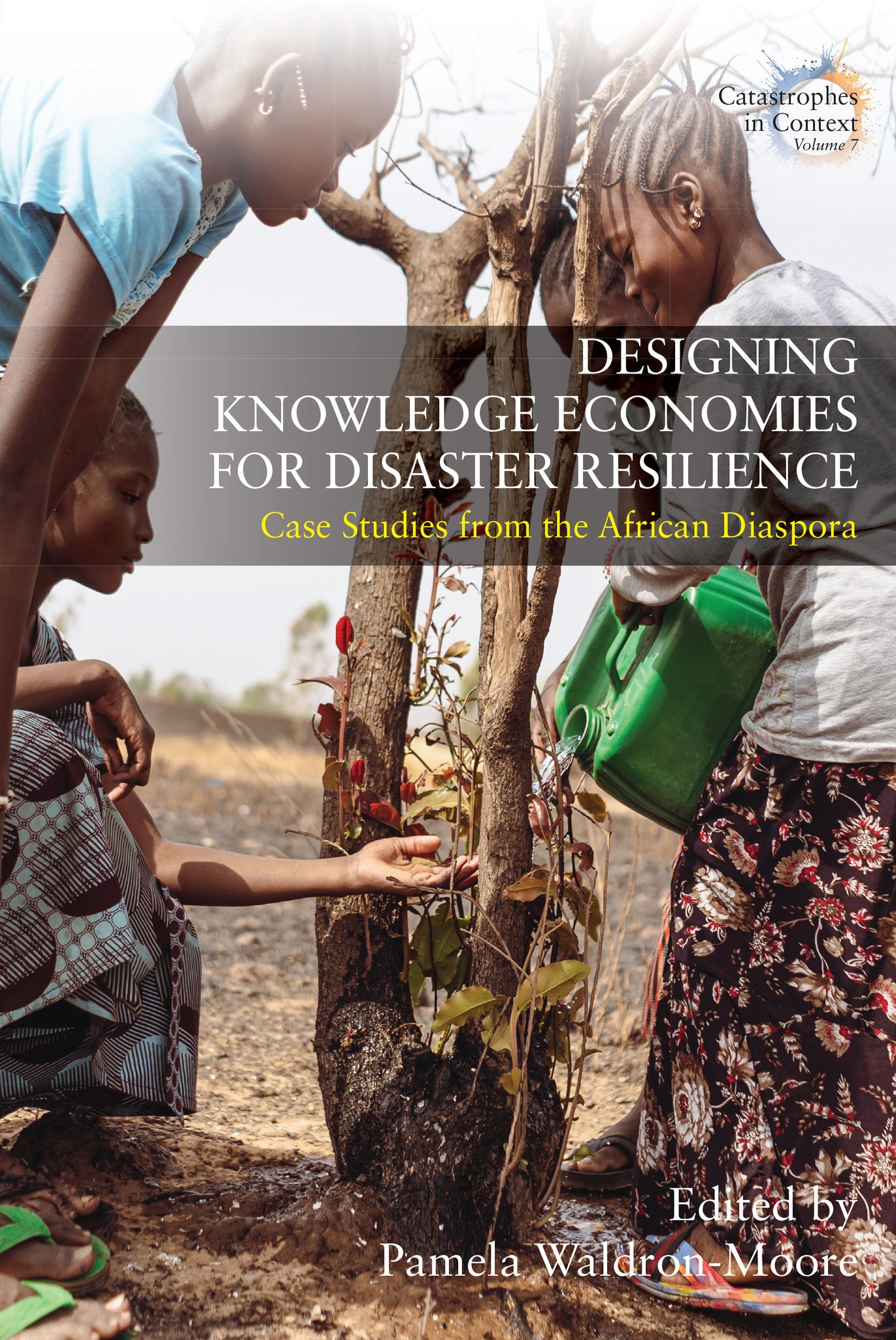 Cover image for Designing Knowledge Economies for Disaster Resilience ISBN 9781805391708