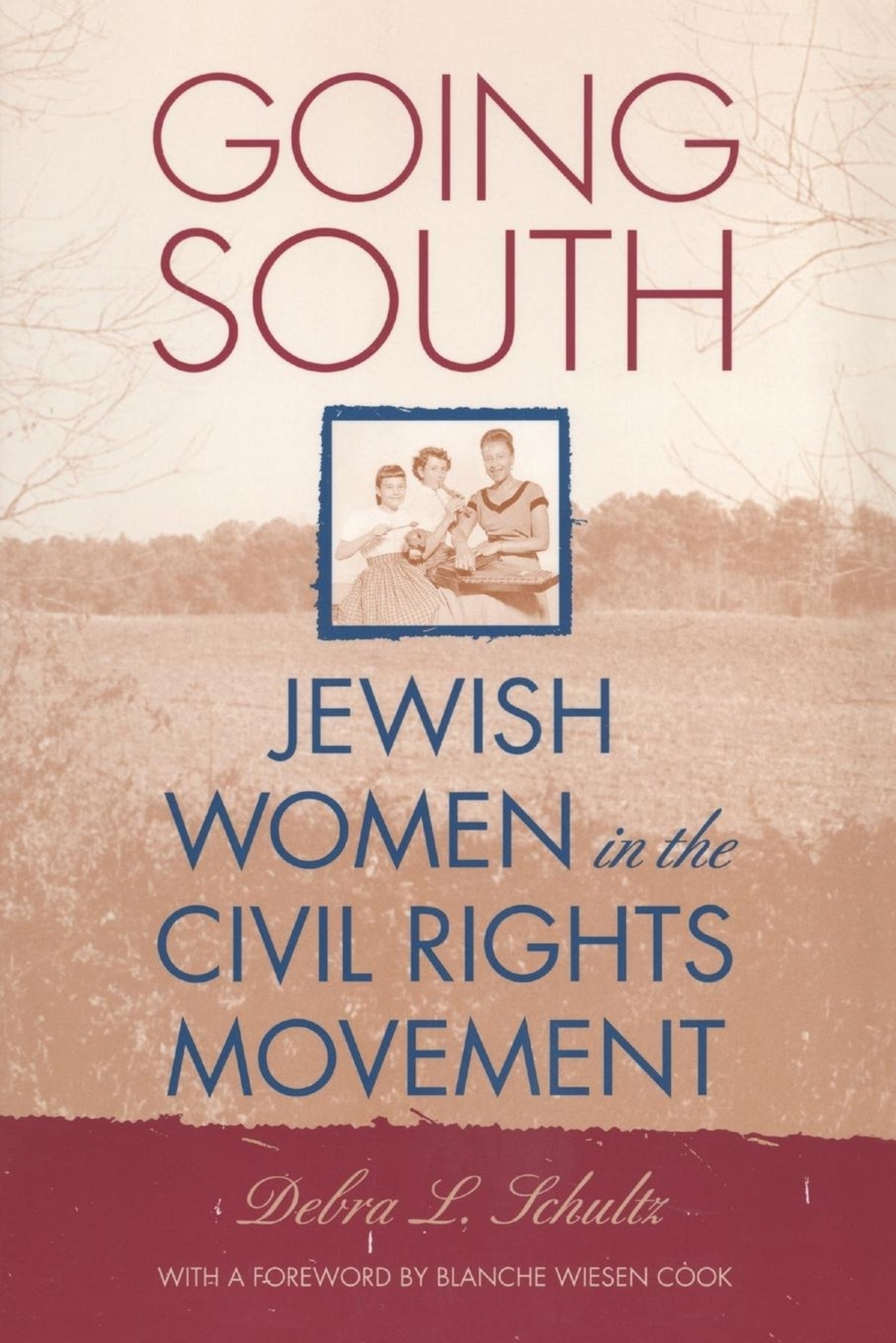 Cover image for Going South ISBN 9780814797754