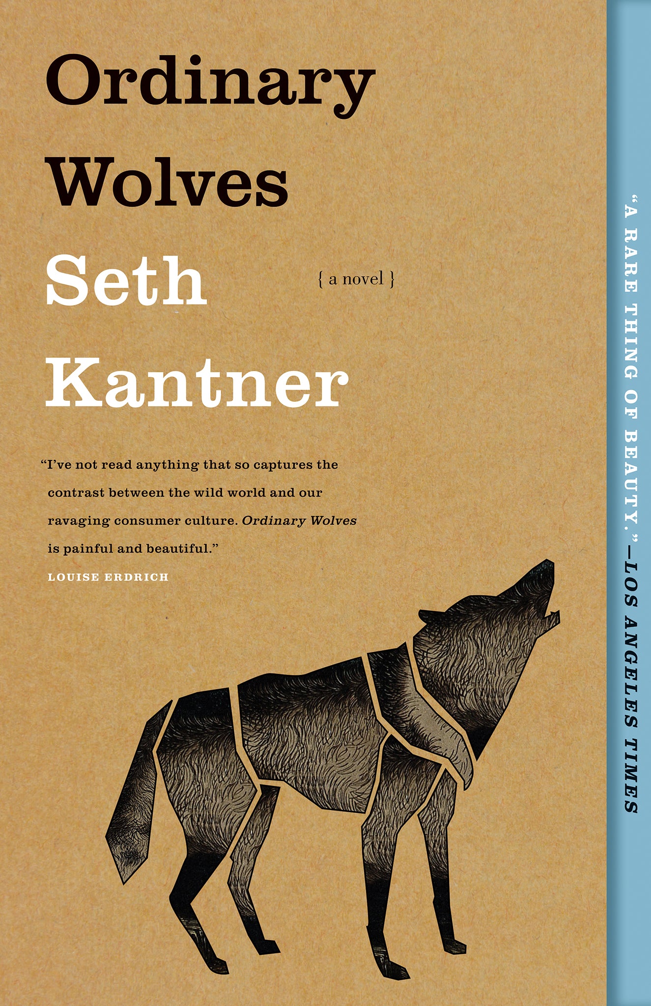 Cover image for Ordinary Wolves ISBN 9781571311214