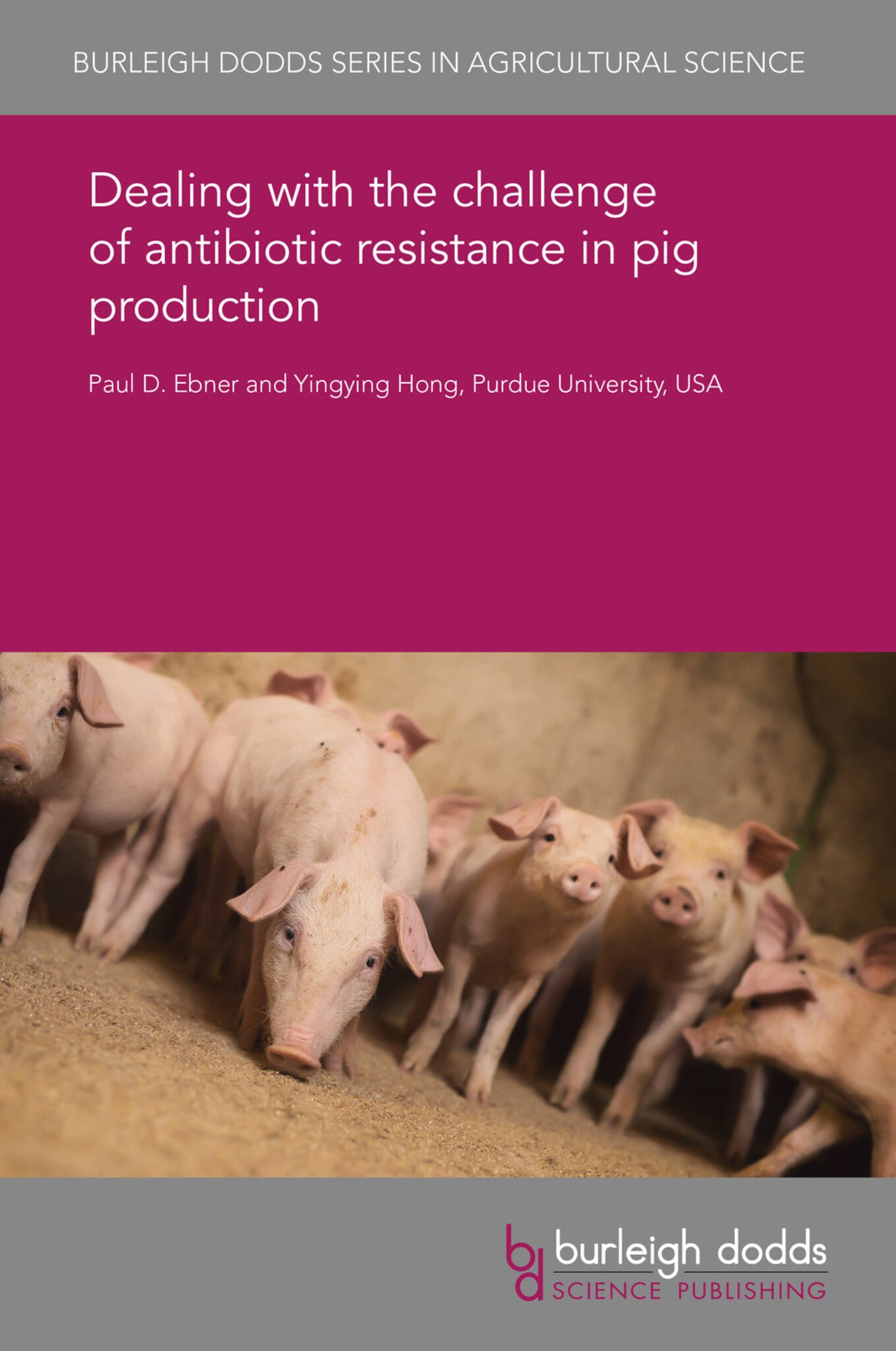 Cover image for Dealing with the challenge of antibiotic resistance in pig production ISBN 9781838794934