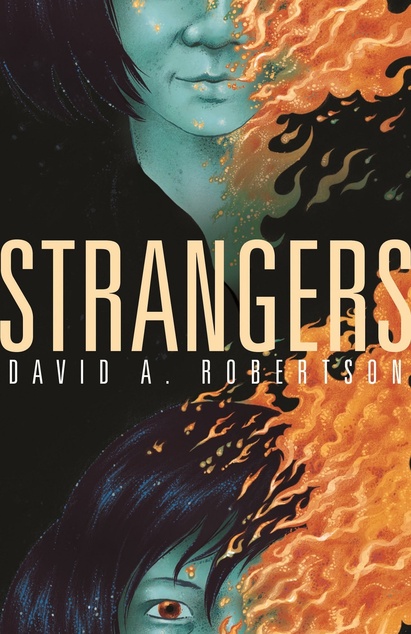 Cover image for Strangers ISBN 9781553797371