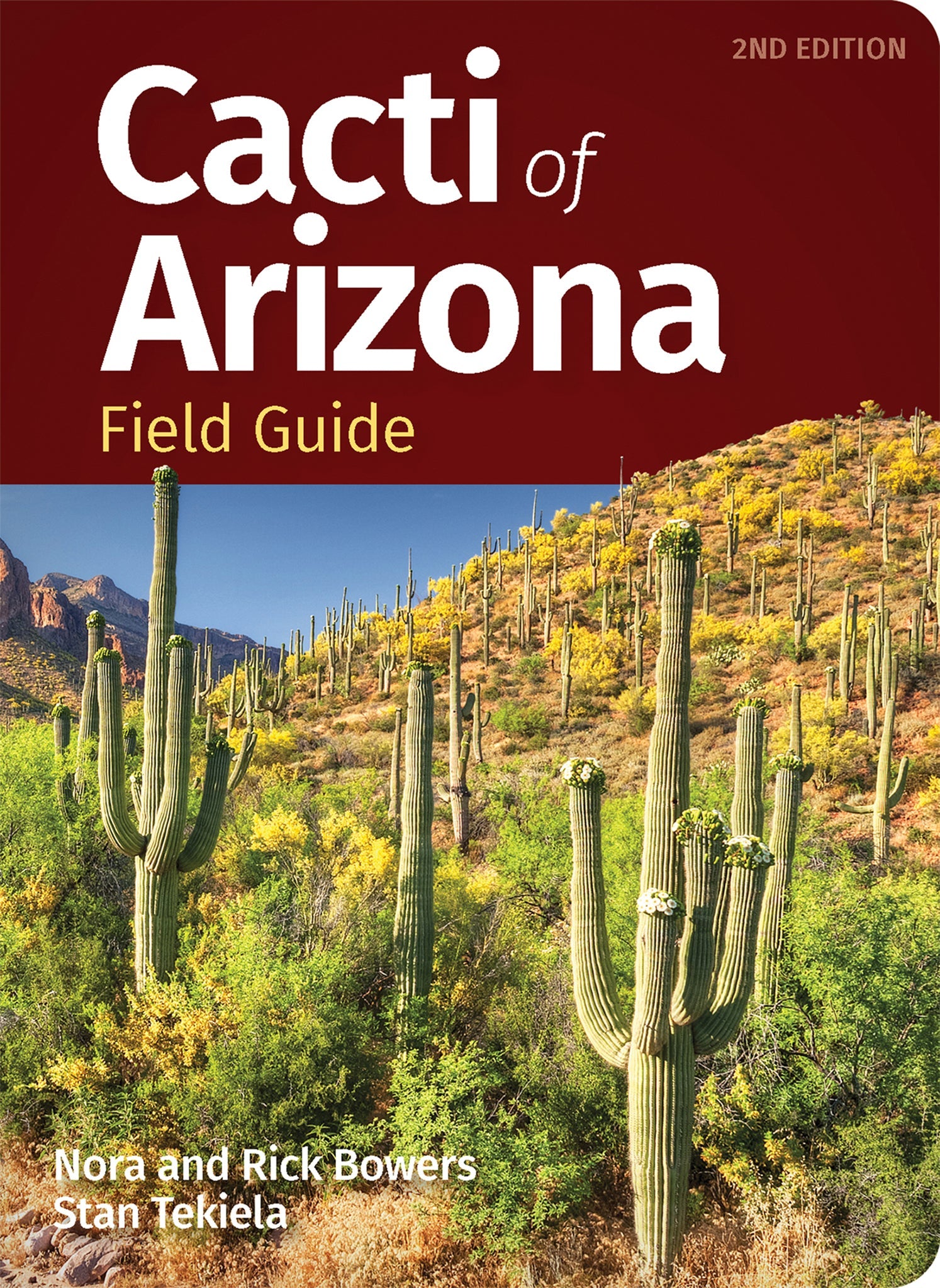 Cover image for Cacti of Arizona Field Guide ISBN 9781647553982