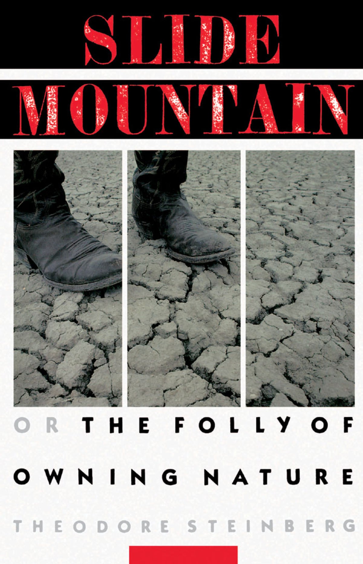 Cover image for Slide Mountain ISBN 9780520918467