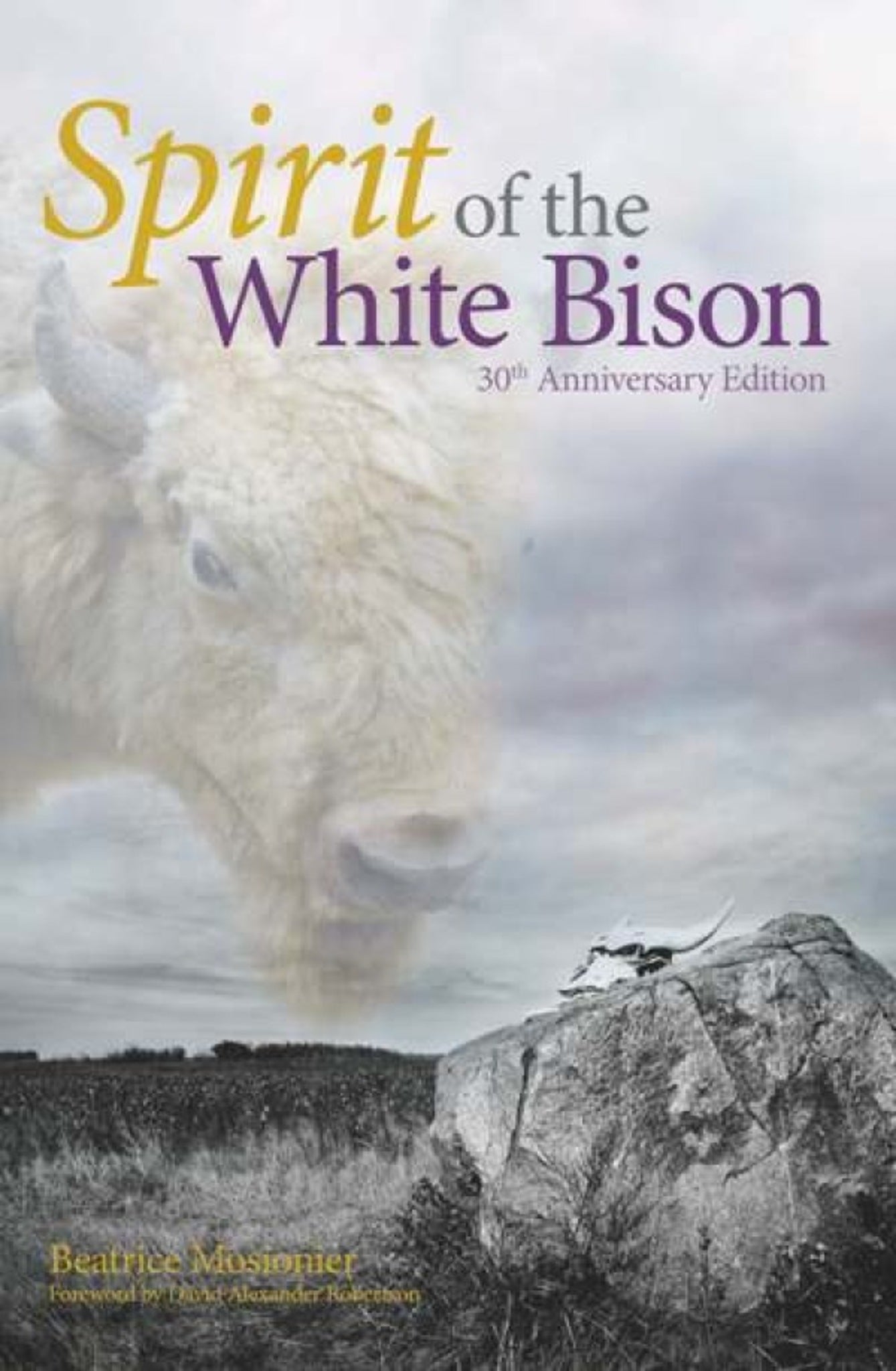 Cover image for Spirit of the White Bison ISBN 9781553793830