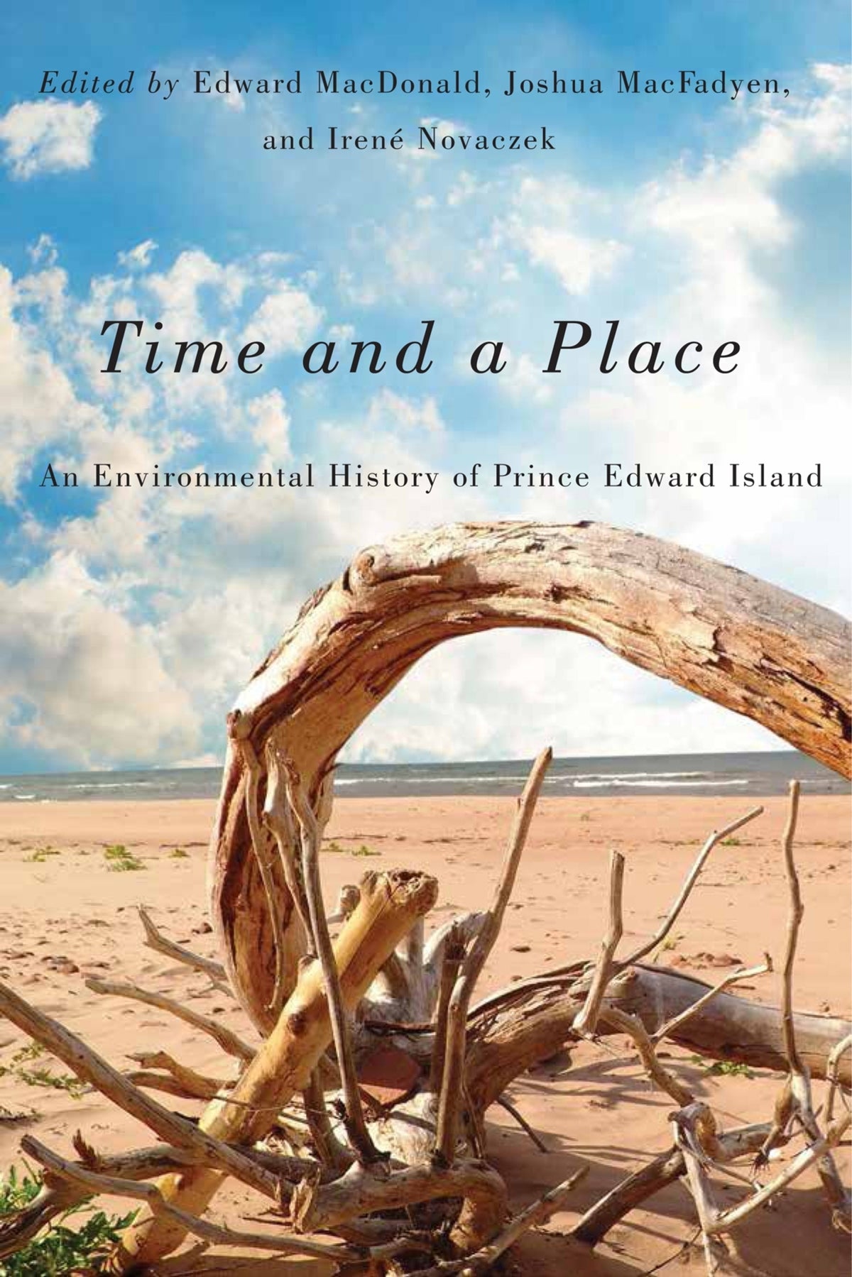 Cover image for Time and a Place ISBN 9780773598737
