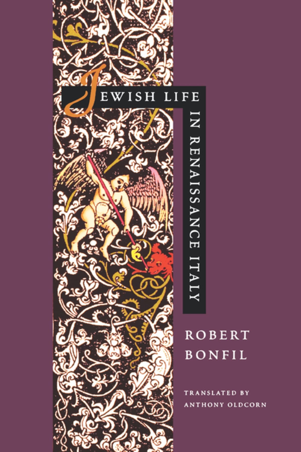 Cover image for Jewish Life in Renaissance Italy ISBN 9780520910997