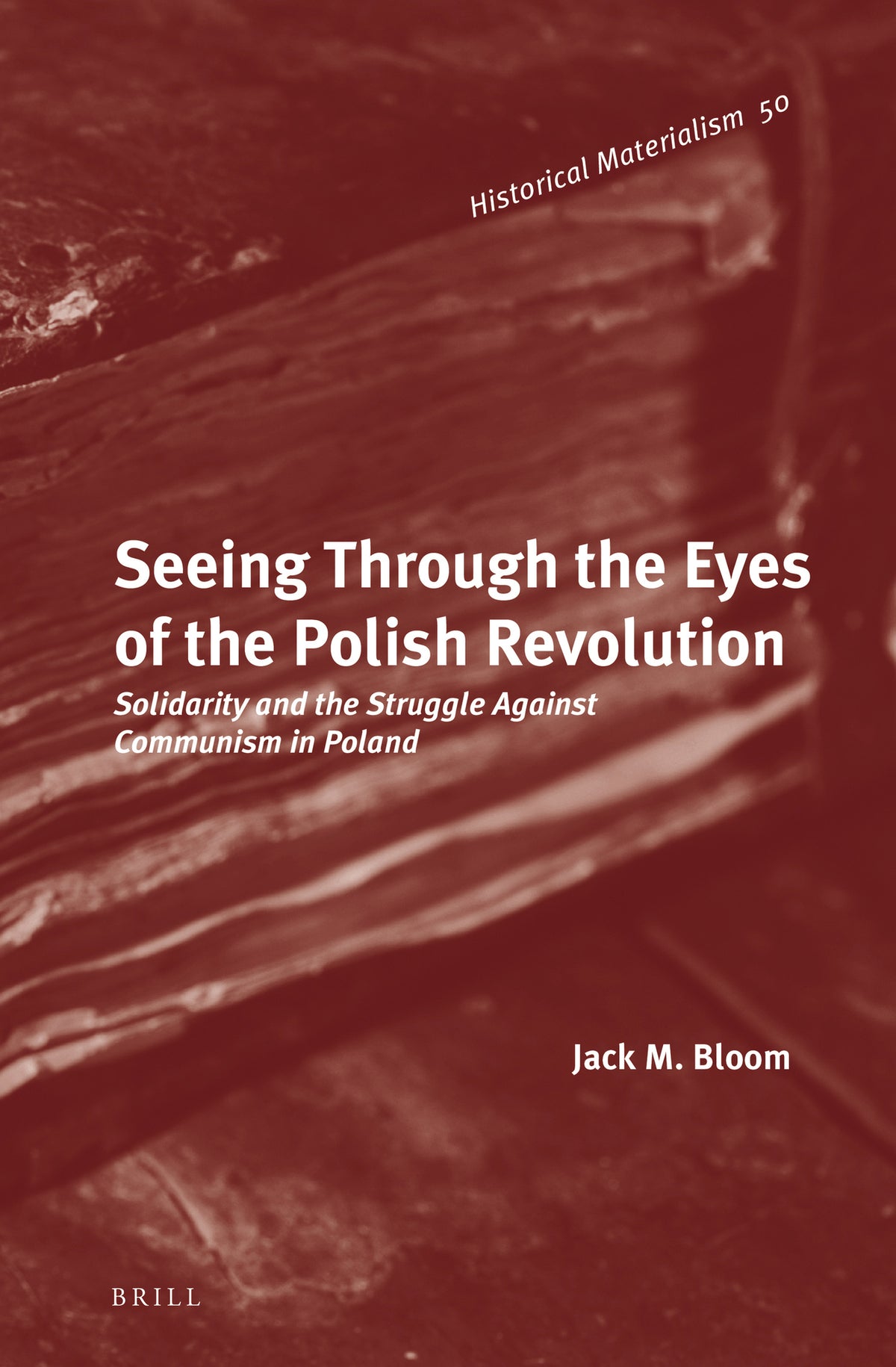 Cover image for Seeing Through the Eyes of the Polish Revolution ISBN 9789004231801