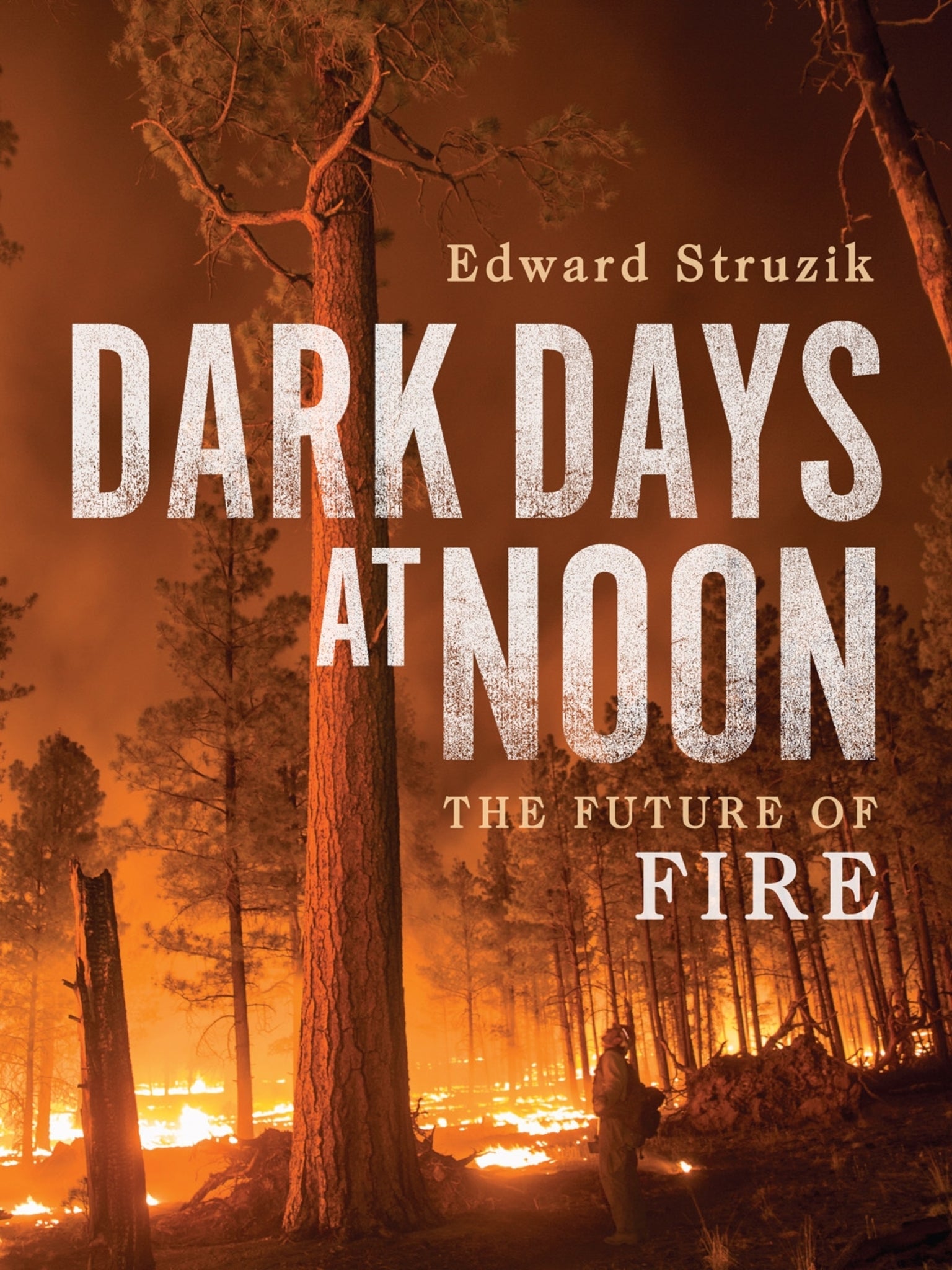 Cover image for Dark Days at Noon ISBN 9780228012092