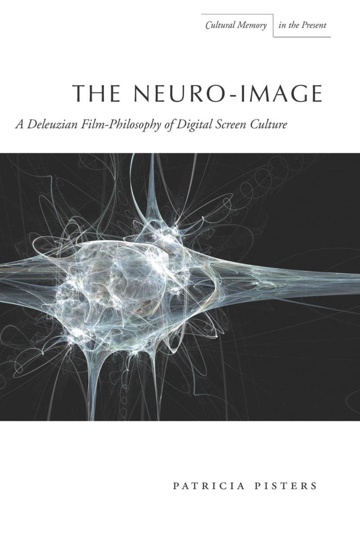 Cover image for The Neuro-Image ISBN 9780804781350