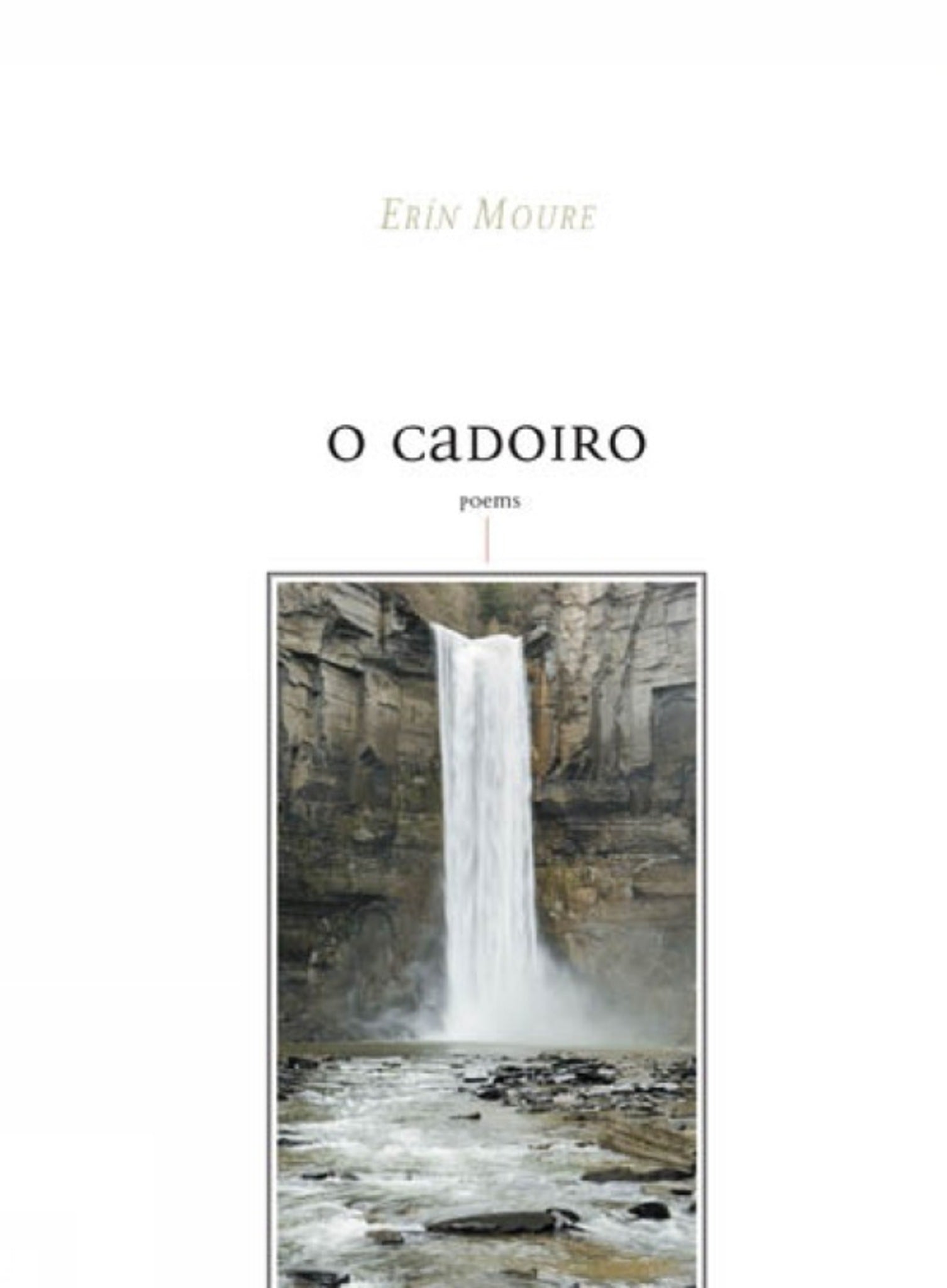 Cover image for O Cadoiro ISBN 9780887847578