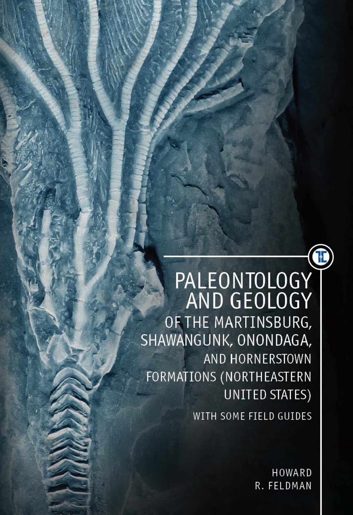 Cover image for Paleontology and Geology of the Martinsburg, Shawangunk, Onondaga, and Hornerstown Formations (Northeastern United States) with Some Field Guides ISBN 9781618114167