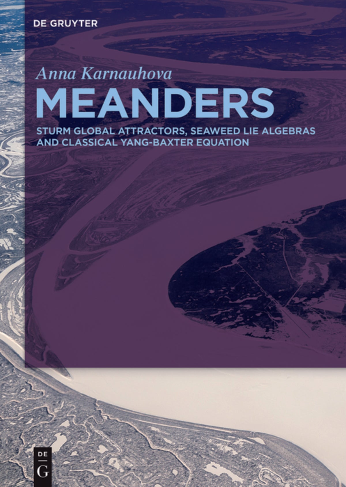 Cover image for Meanders ISBN 9783110531473