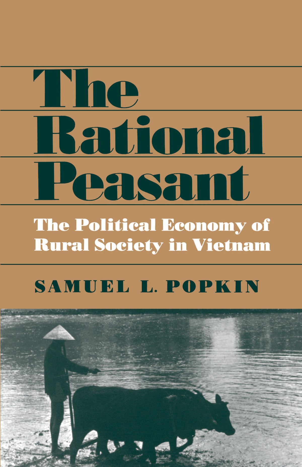 Cover image for The Rational Peasant ISBN 9780520341623