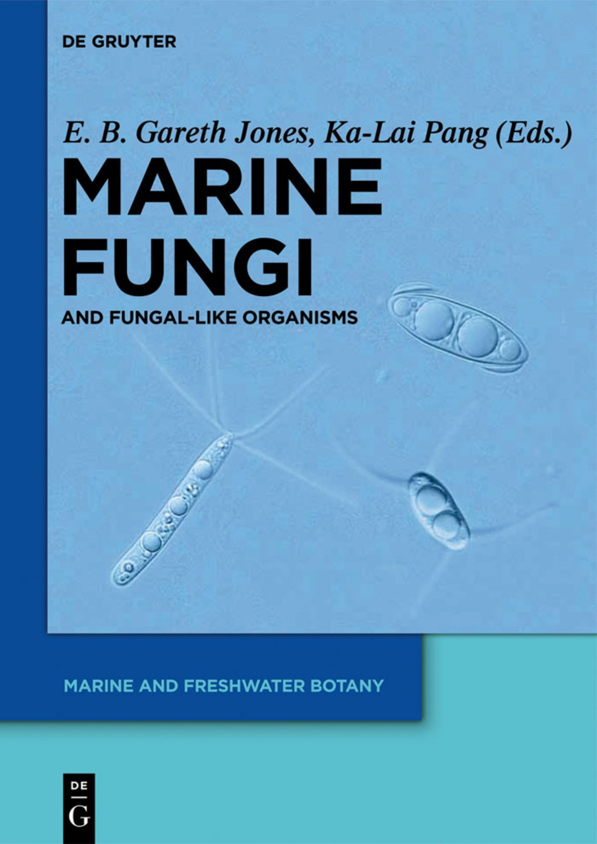Cover image for Marine Fungi ISBN 9783110263985