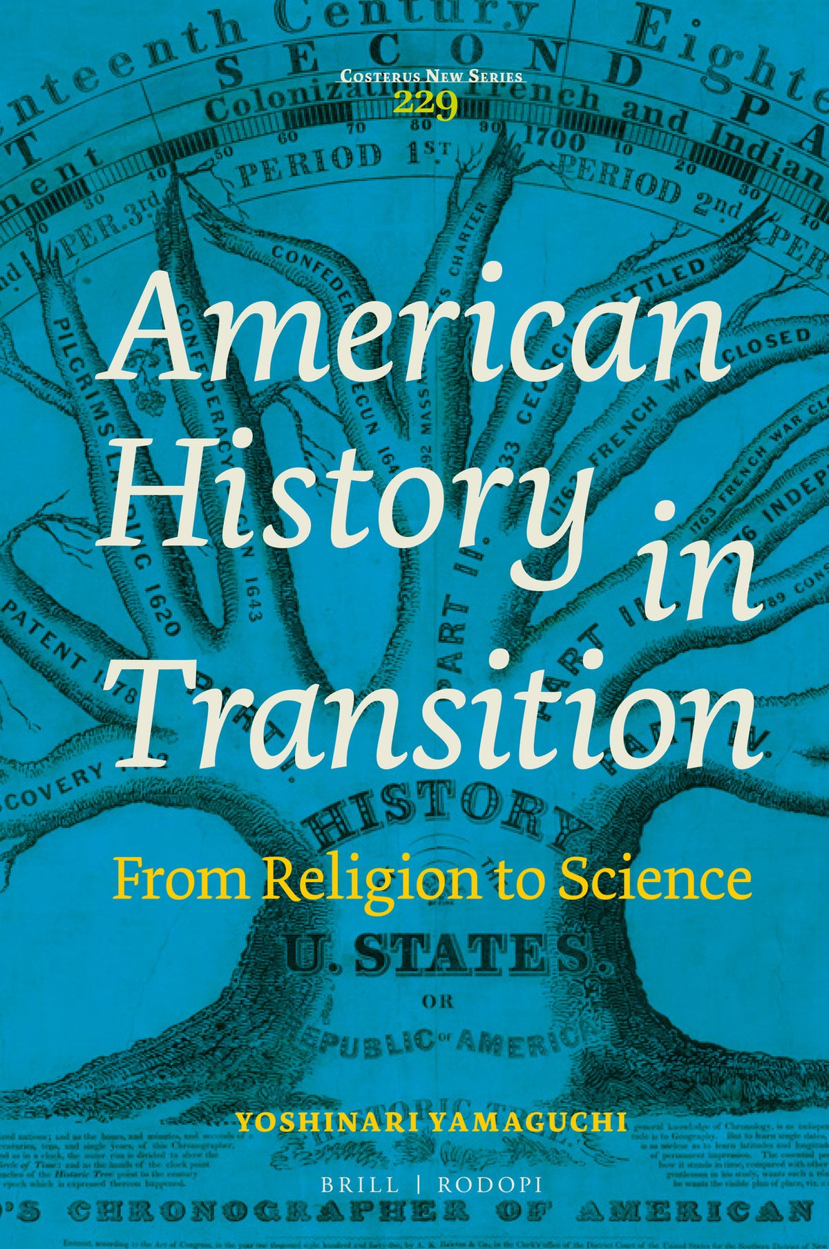 Cover image for American History in Transition ISBN 9789004424302